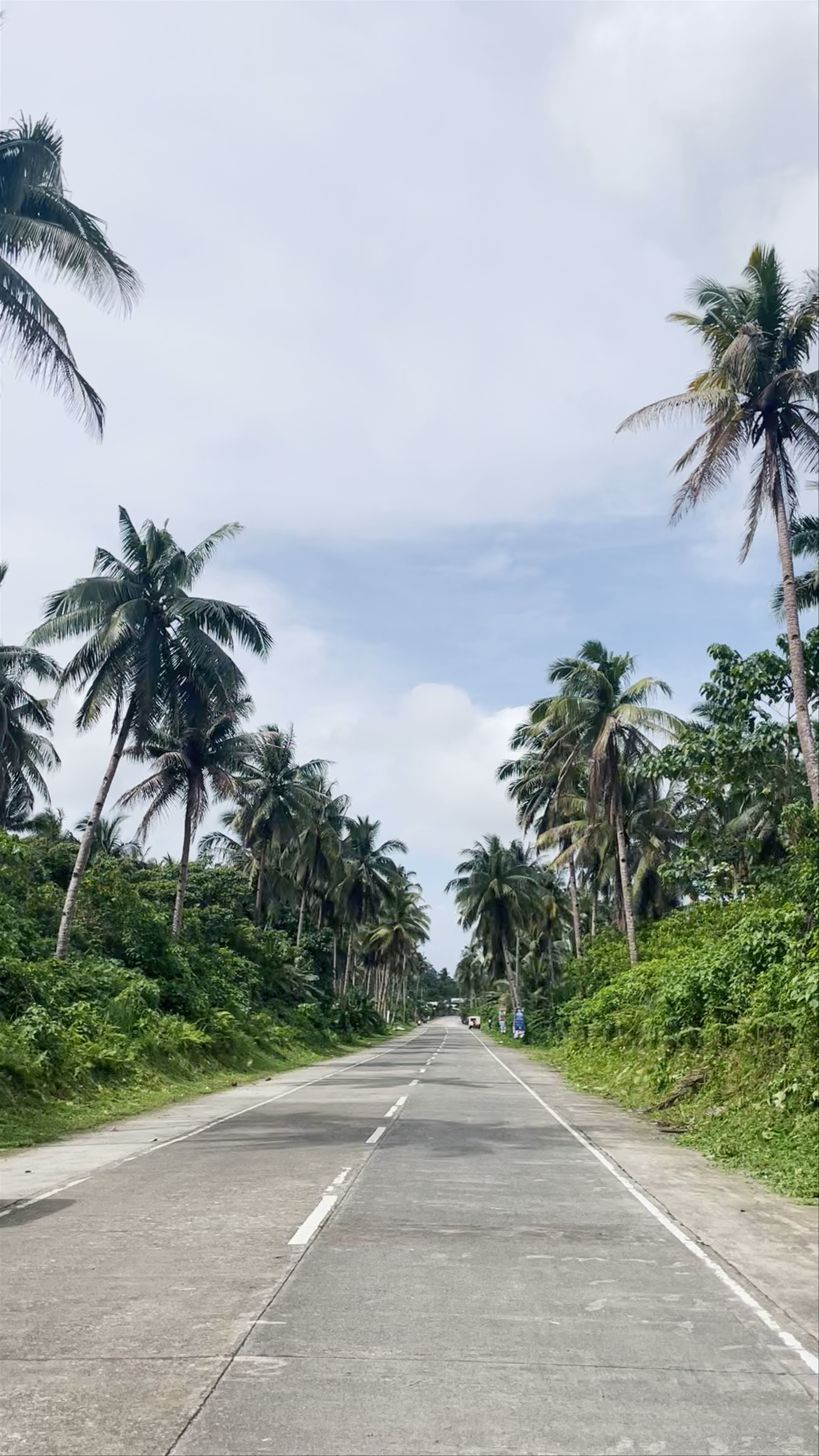 Coconut view v1