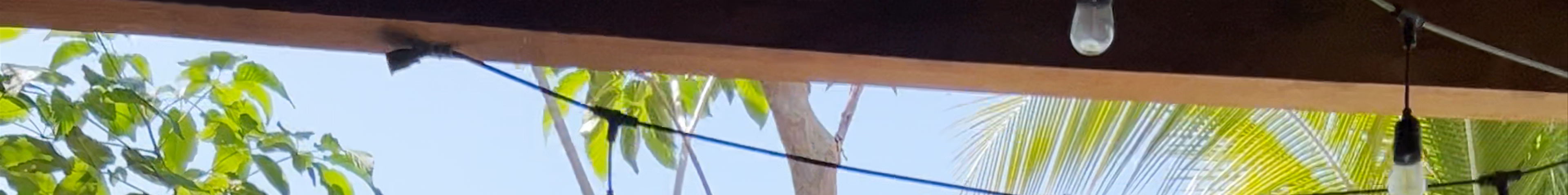 Tours & experiences in La Libertad