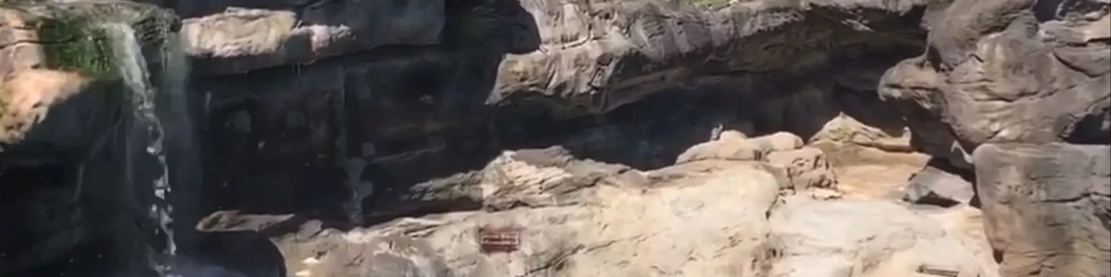 Zoológico Taronga