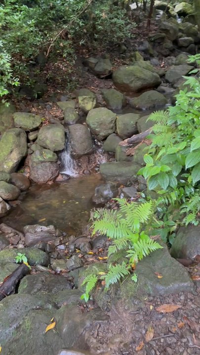 Lulumahu Falls - Hiking Near Me - Honolulu, Hawaii