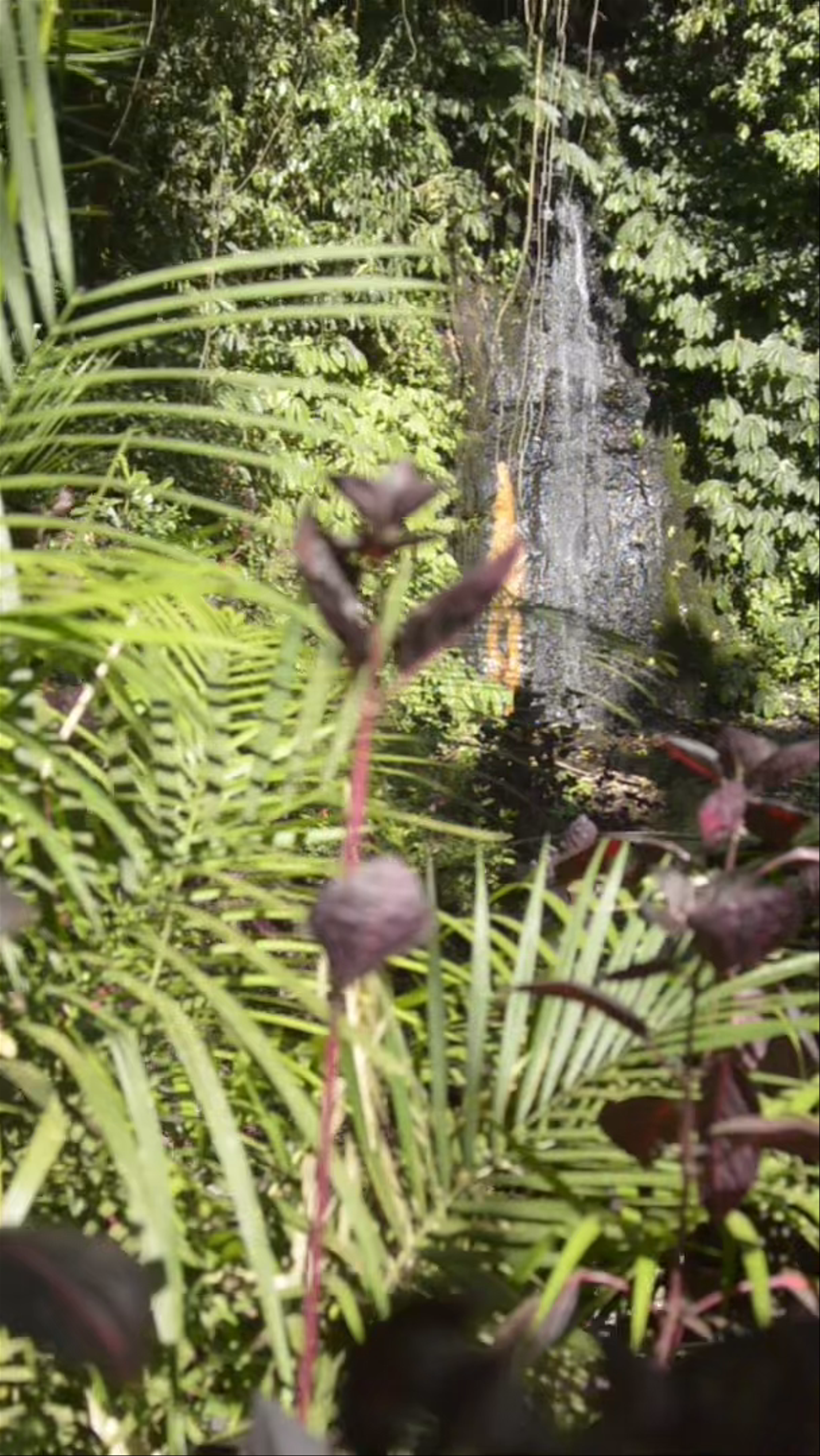 Banyu Wana Amertha Waterfall: Tranquil Forest Escape in Bali