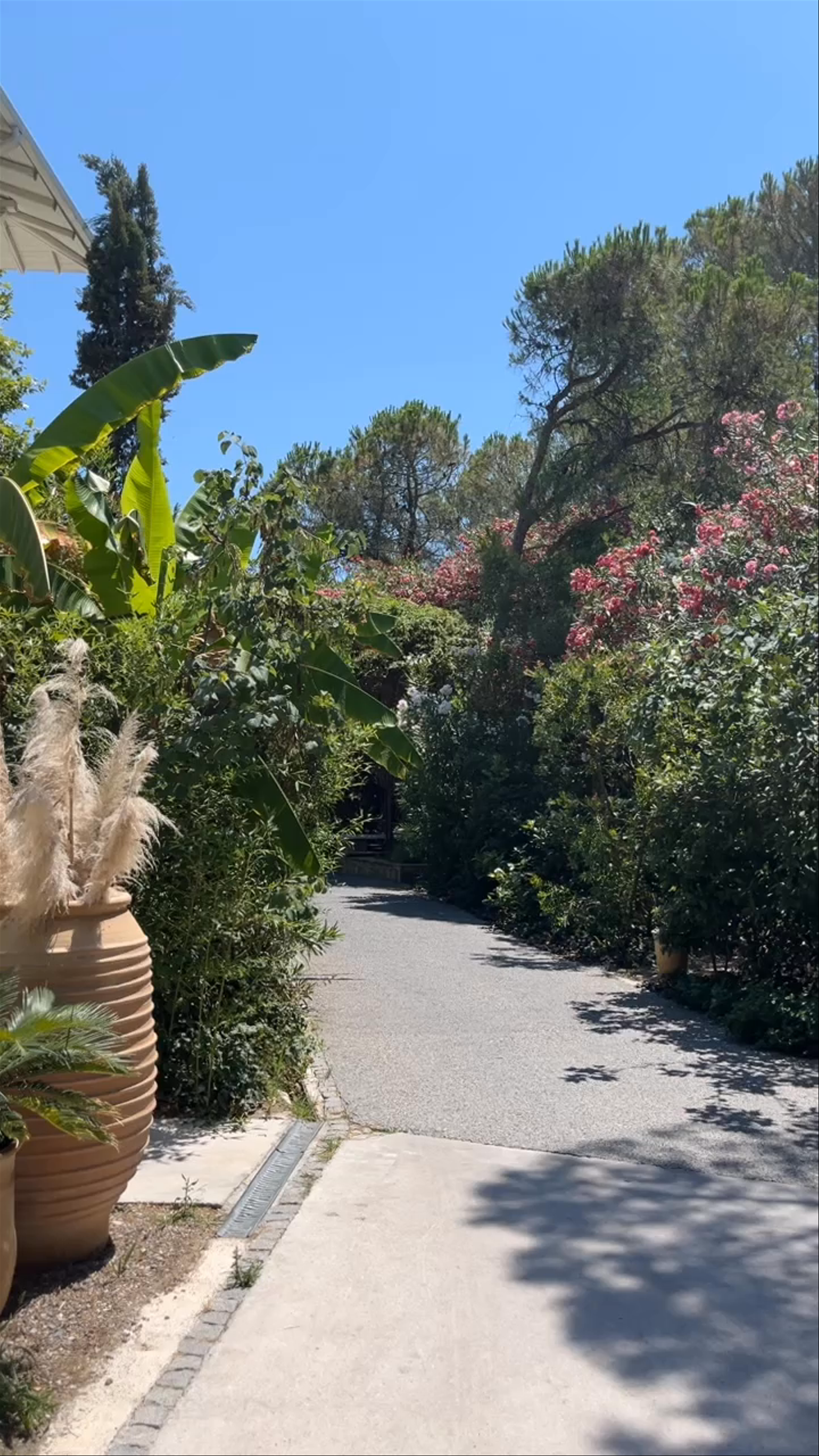 Ekies All Senses Resort: A Mediterranean Garden Escape in Vourvourou, Greece