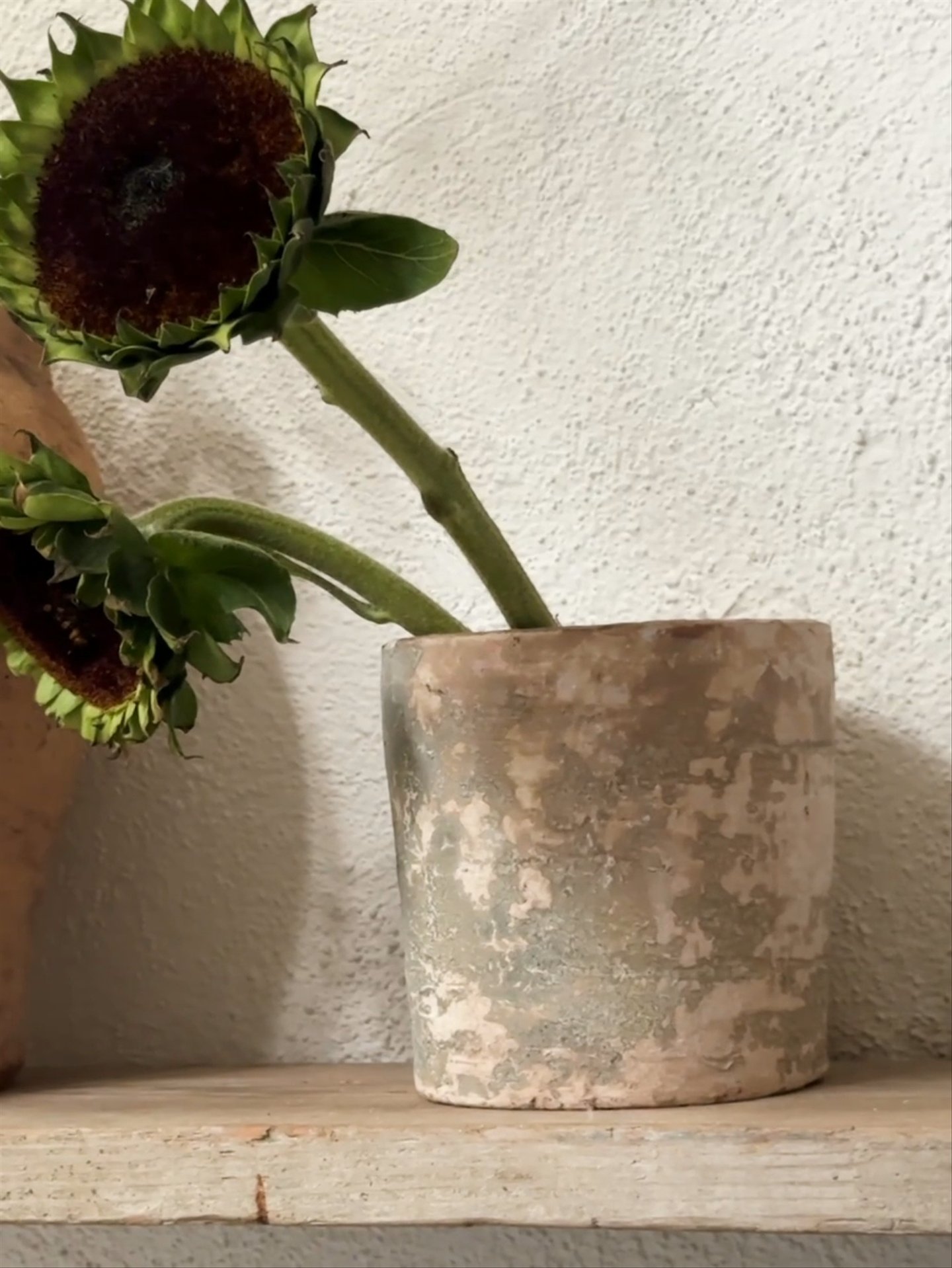 Cream Patina Pot