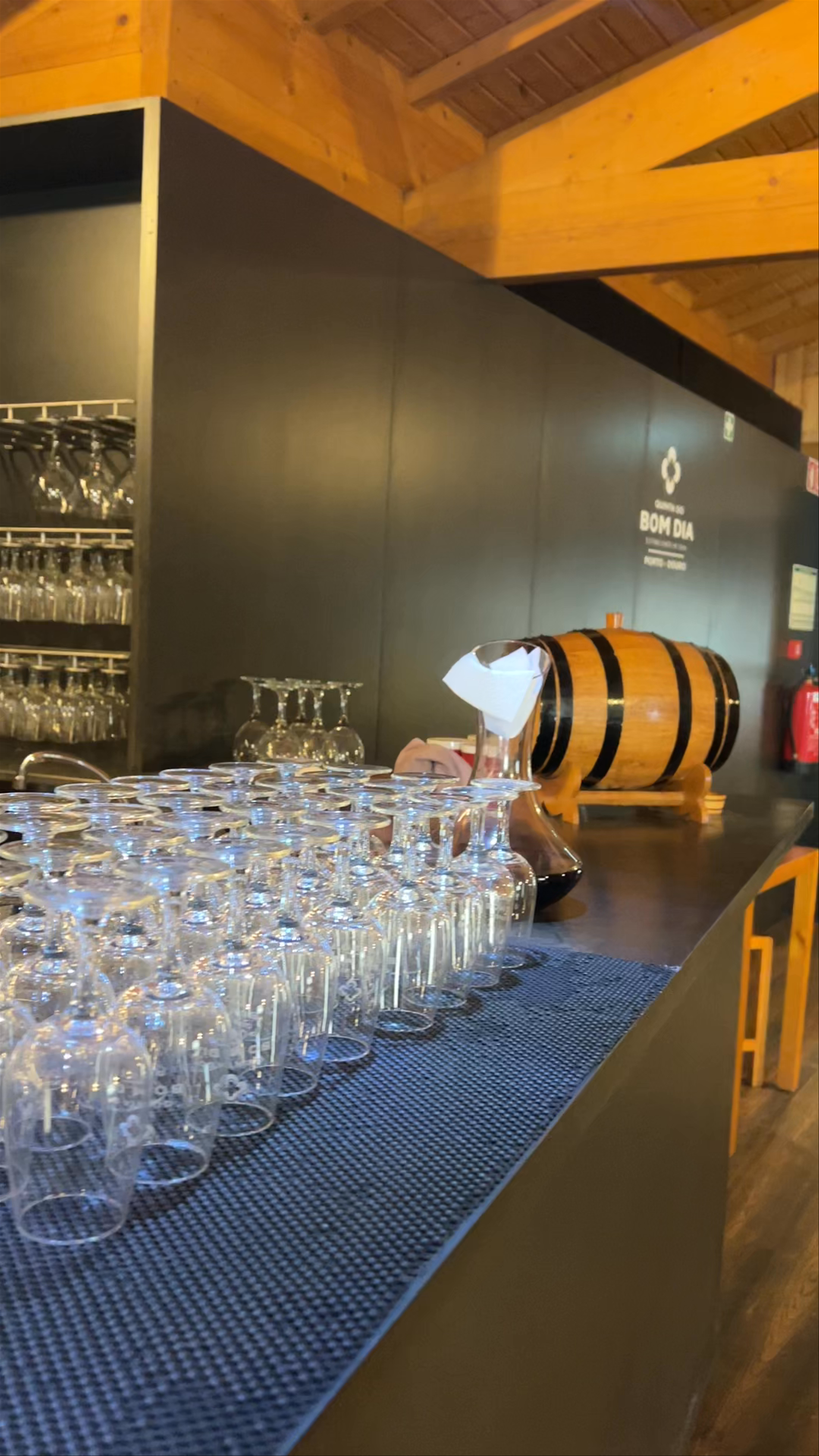 Quinta Do Bom Dia: Rustic Wine Cellar Experience in Vila Nova de Gaia
