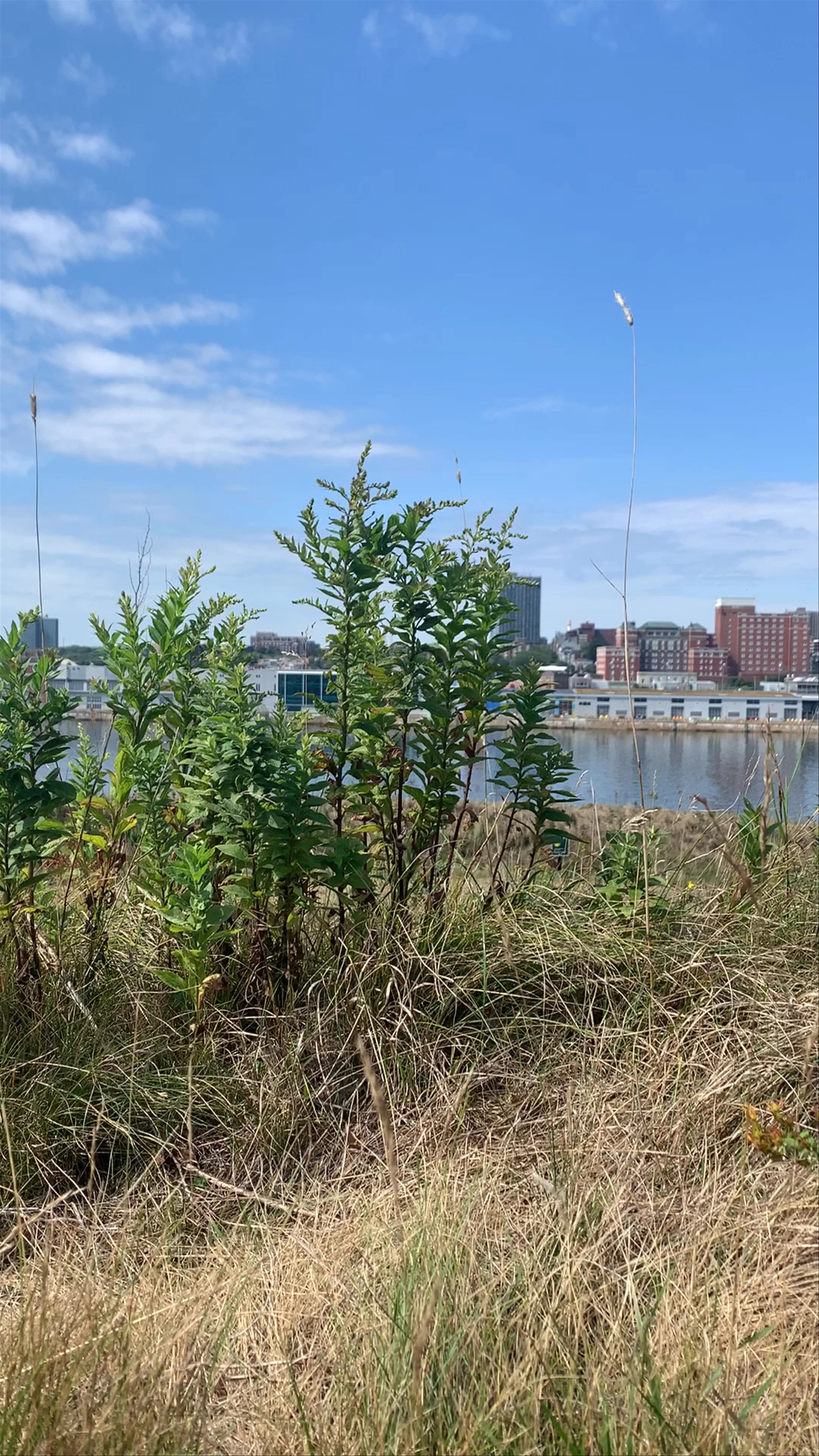 Georges Island