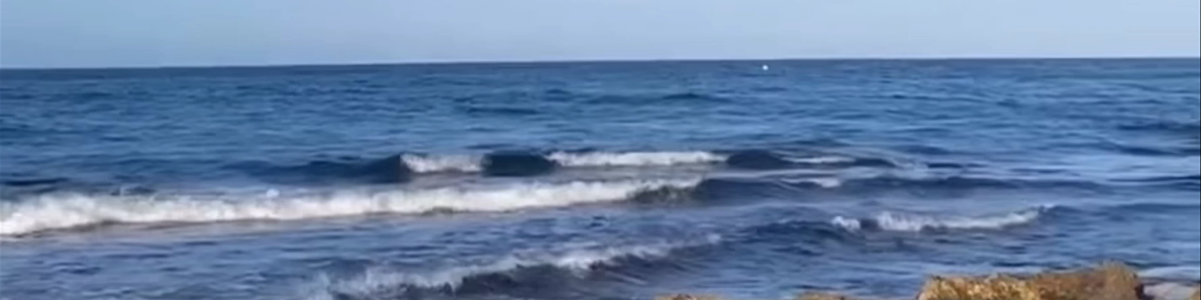 Isla del Portichol