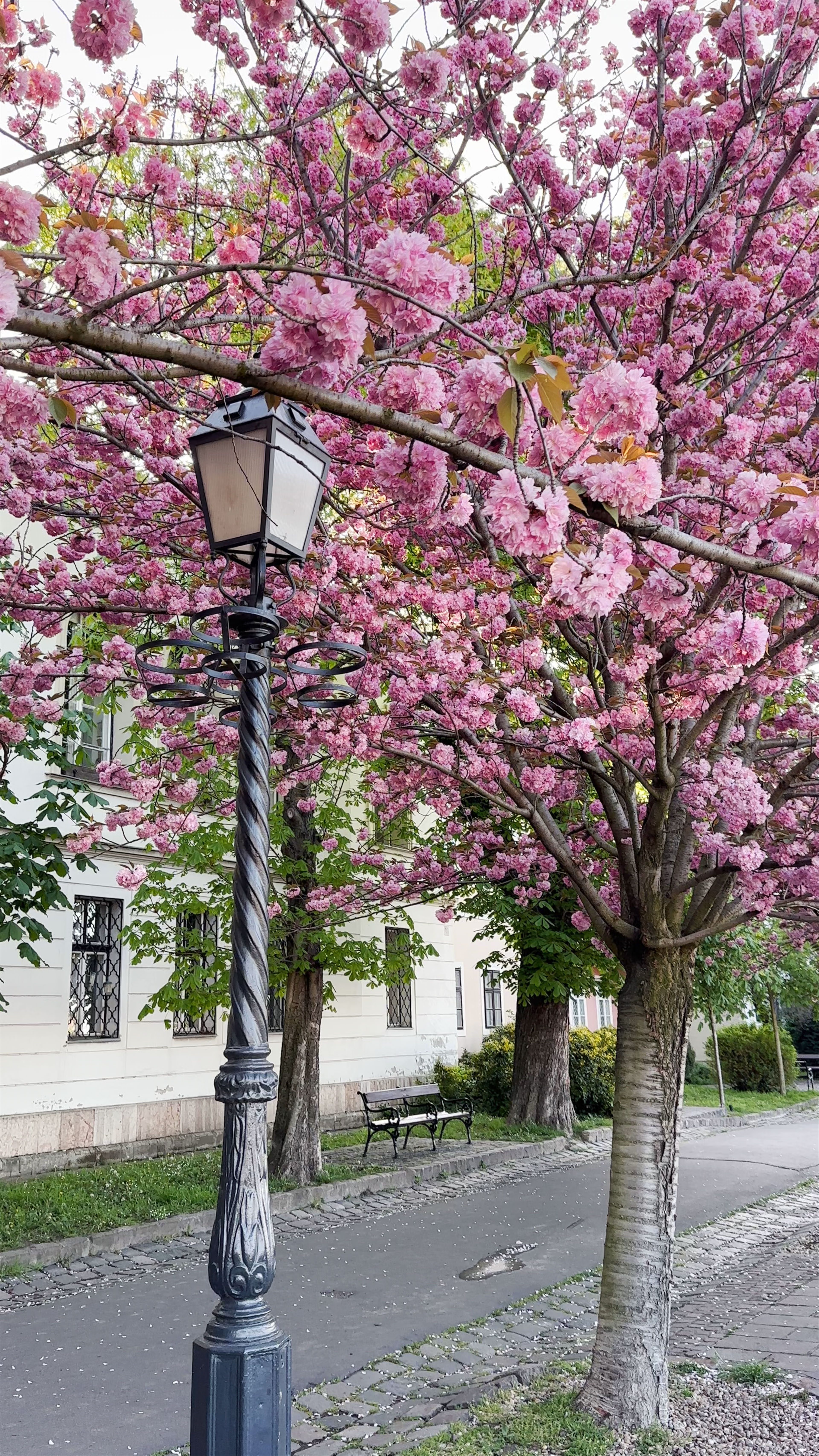 Tóth Árpád promenade