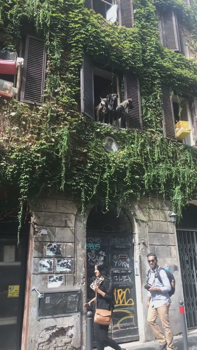 Ivanhoe - On a cute street with tons of shops and restaurants. We were even greeted by these friendly dogs who were people watching as we walked by. - Hotels Near Me - Roma, AG