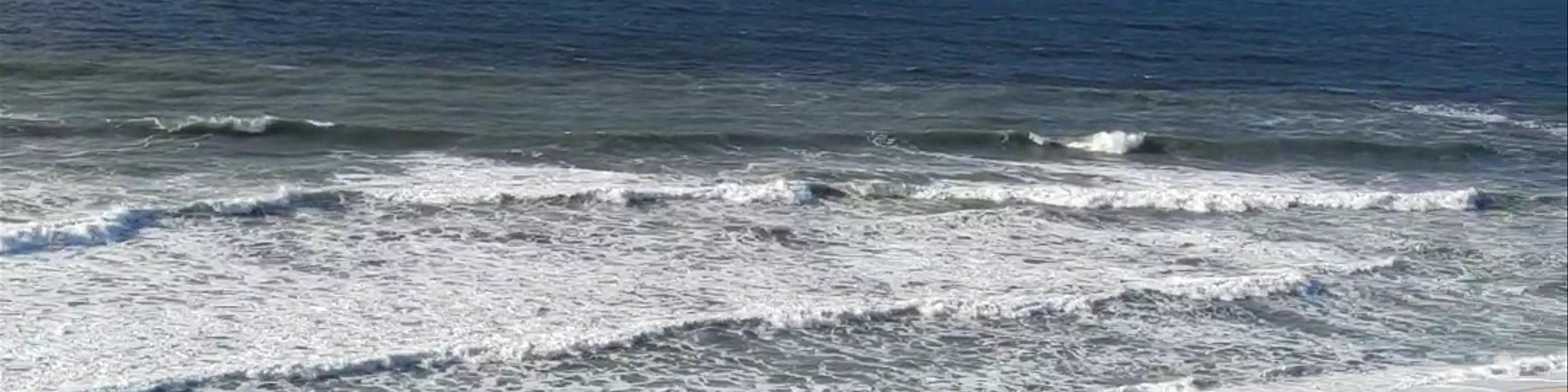 Praia das Bicas