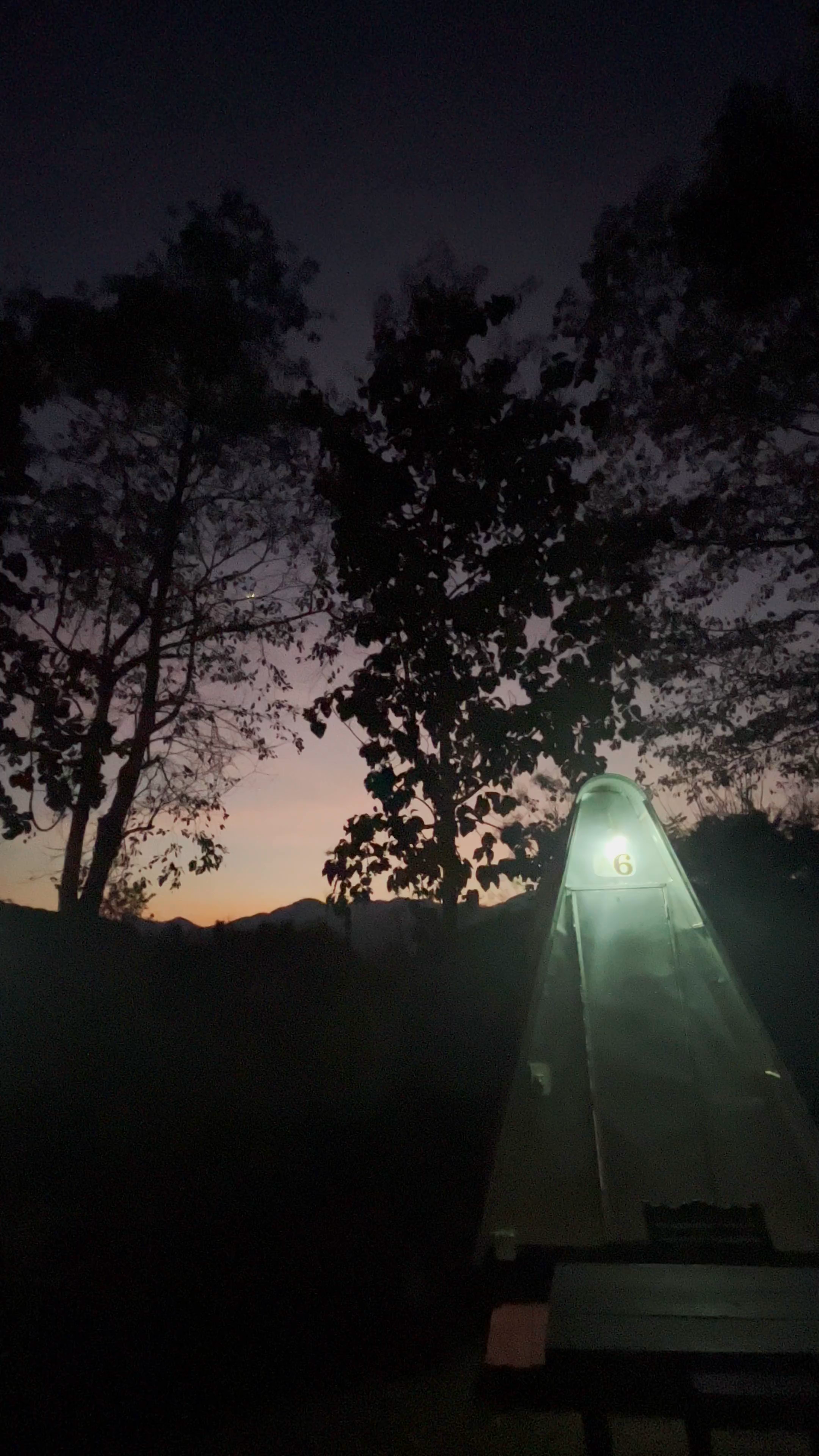 Pai Forest Resort