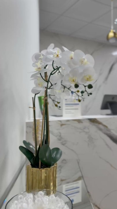 Wellness Evolved Chiropractic - Gorgeous front office. - Chiropractors Near Me - Chino Hills, California