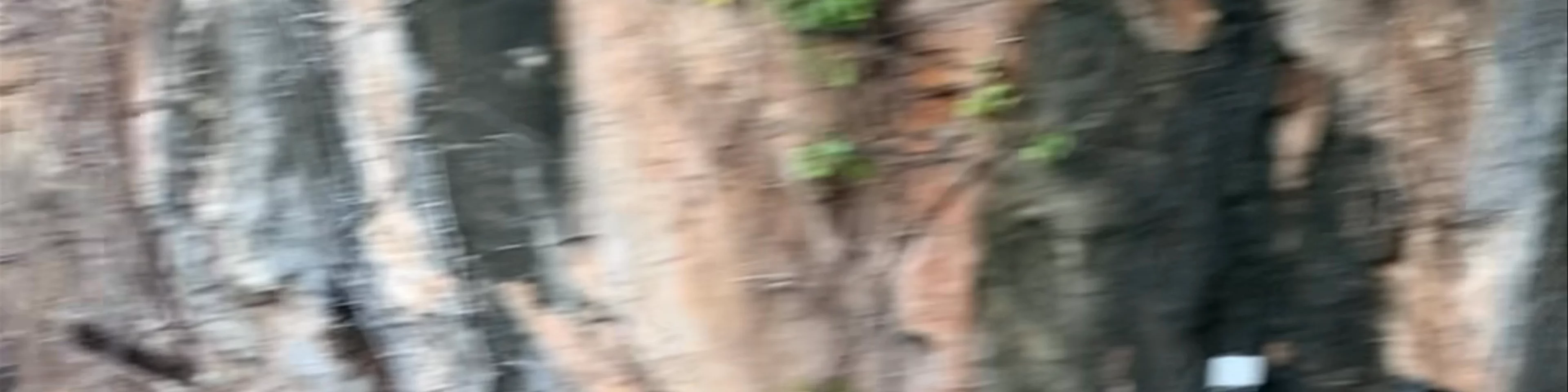 Cueva de las Calaveras