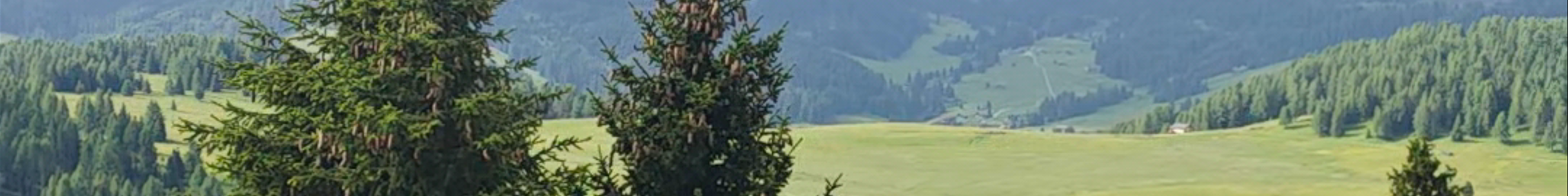 Tours & experiences in Ortisei