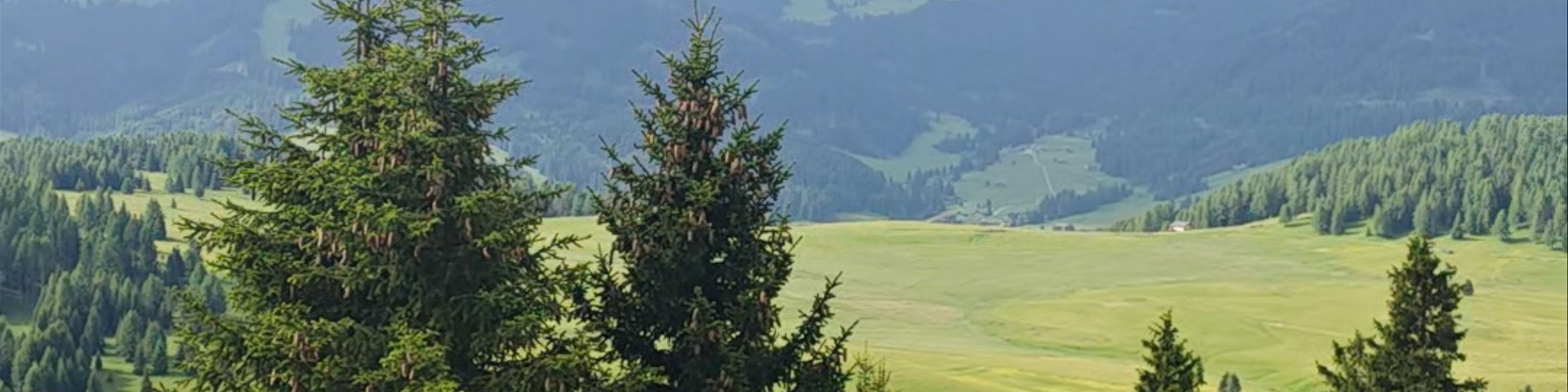 Panorama Alpe di Siusi