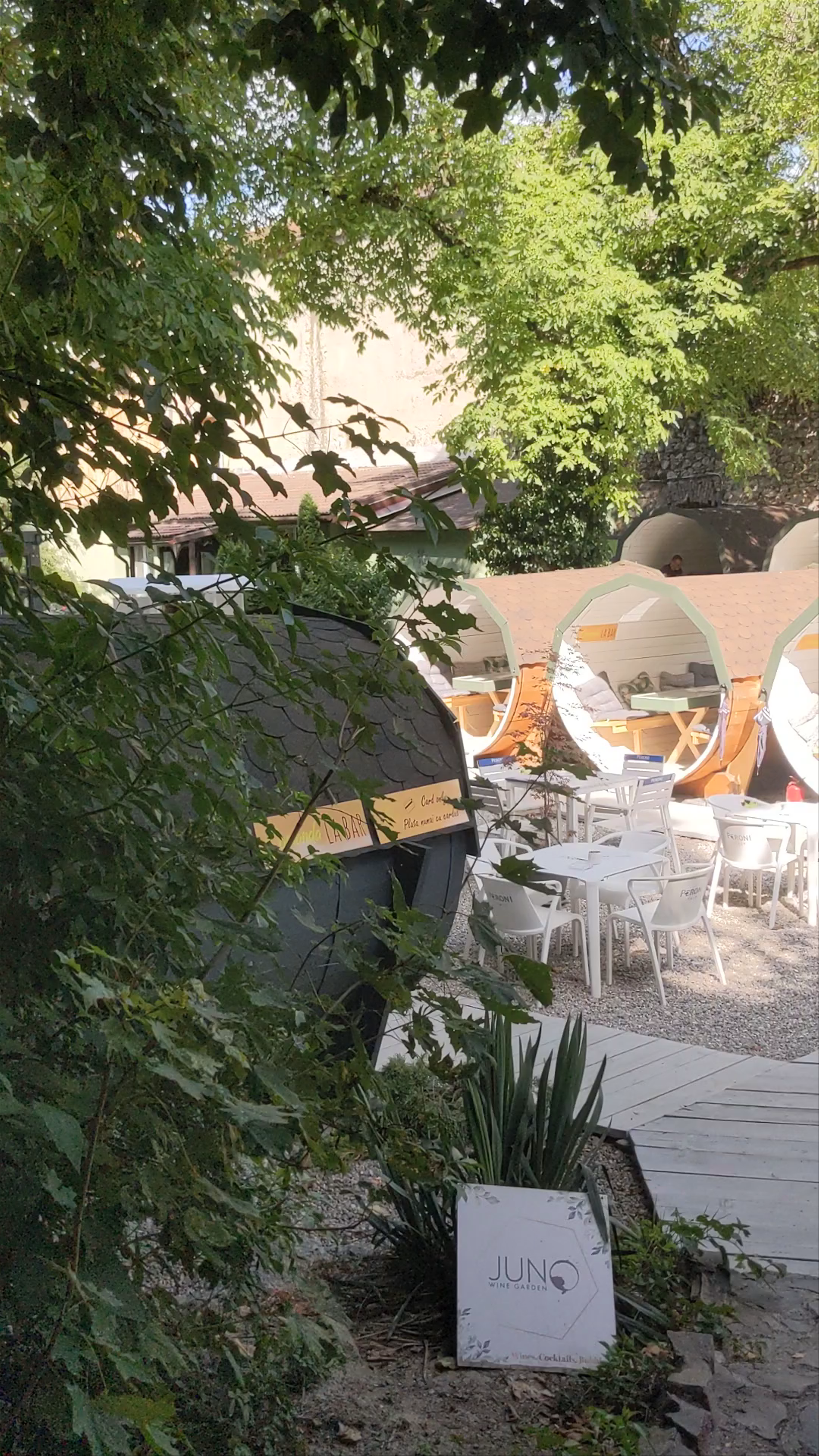 Hidden Gem: JUNO Wine Garden in Brașov's Serene Courtyard
