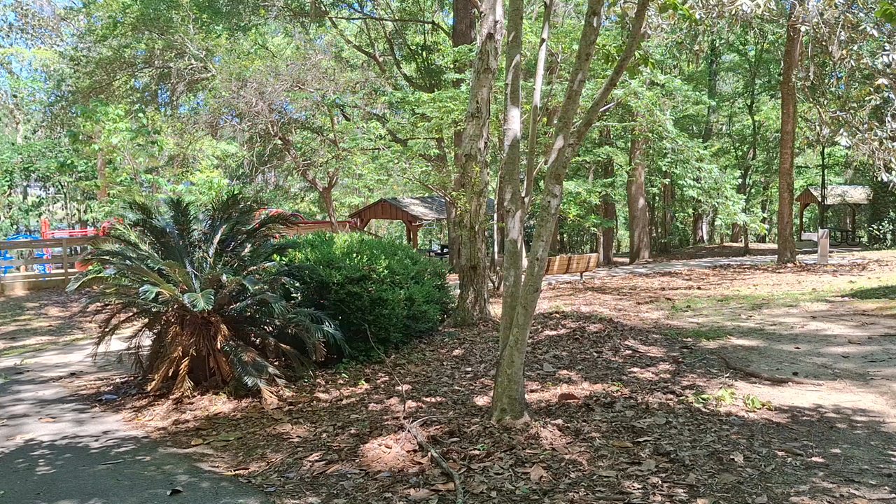 A.J. Henry Park - Parks Near Me - Tallahassee, Florida