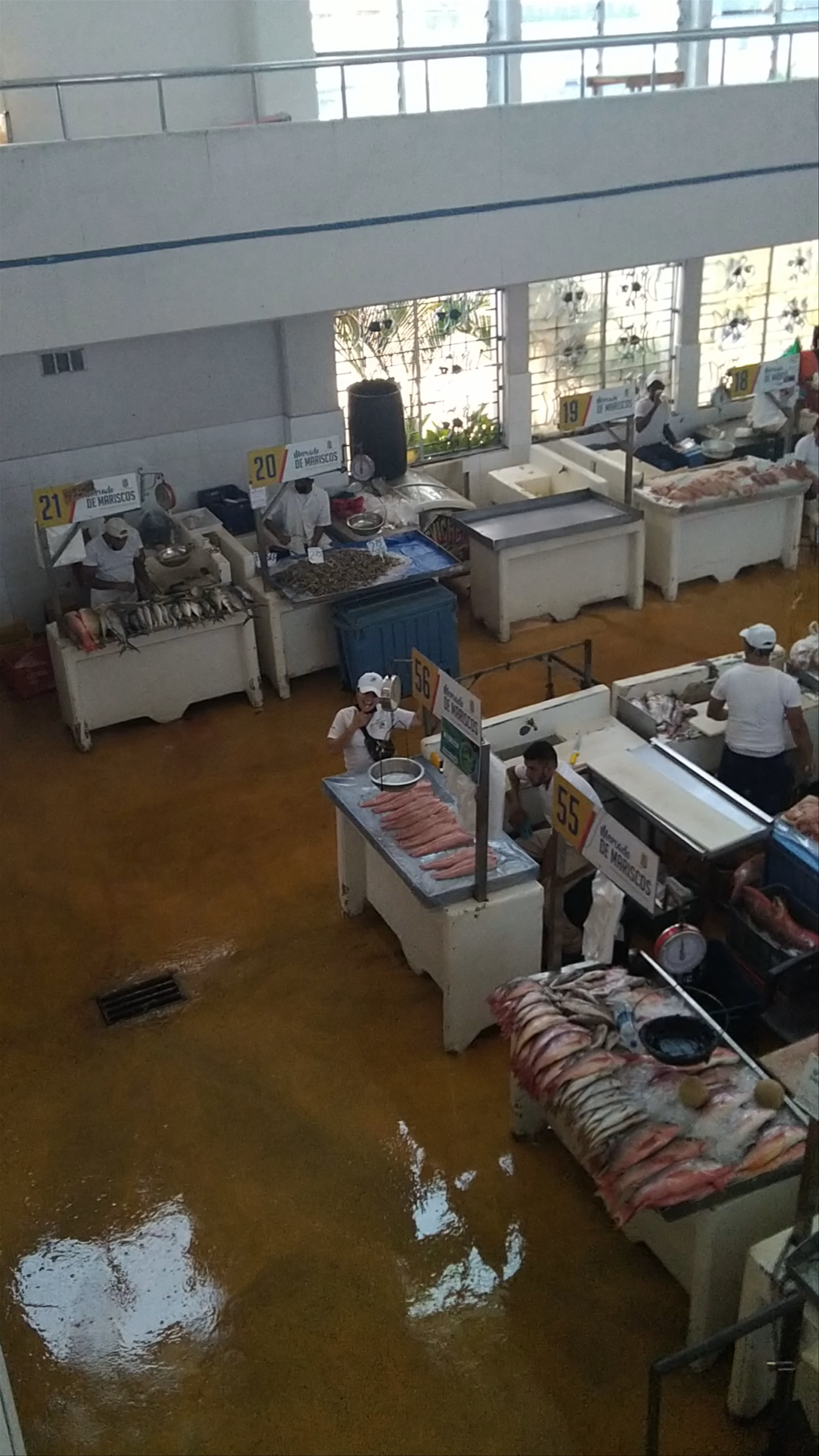 Mercado De Marisco Cinta Costera