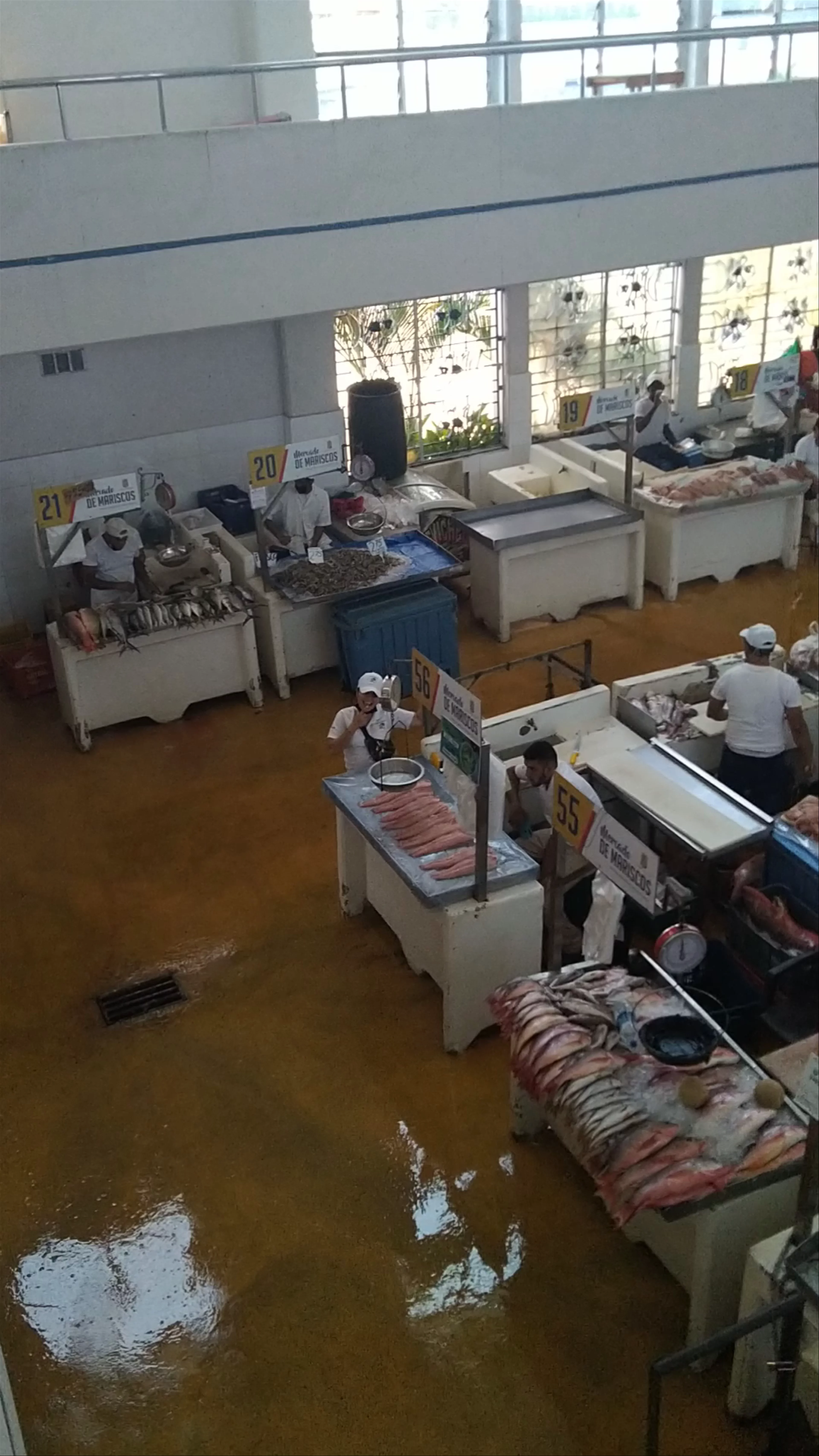Mercado De Marisco Cinta Costera, Ciclovía Cinta Costera