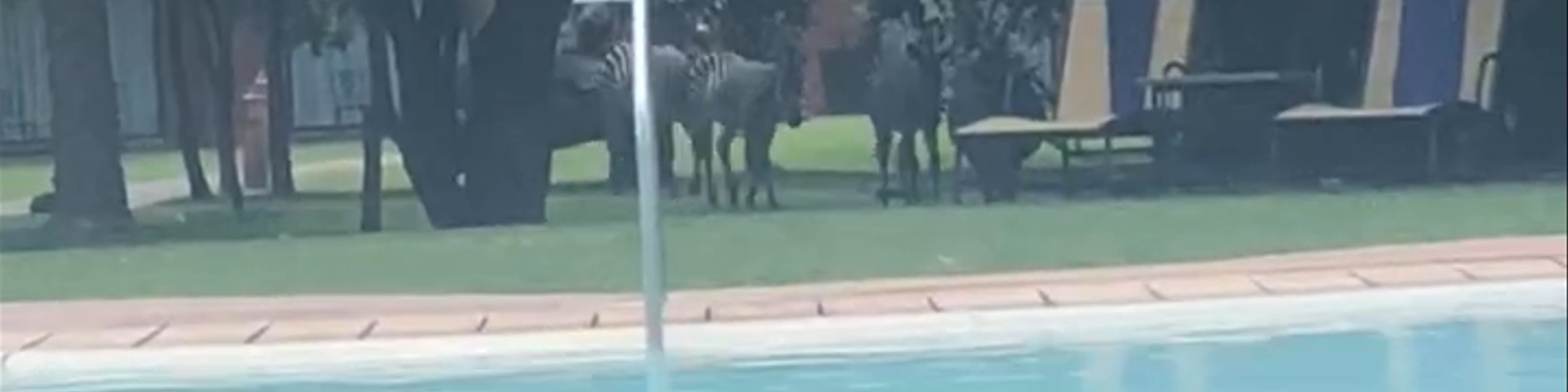 Zambia