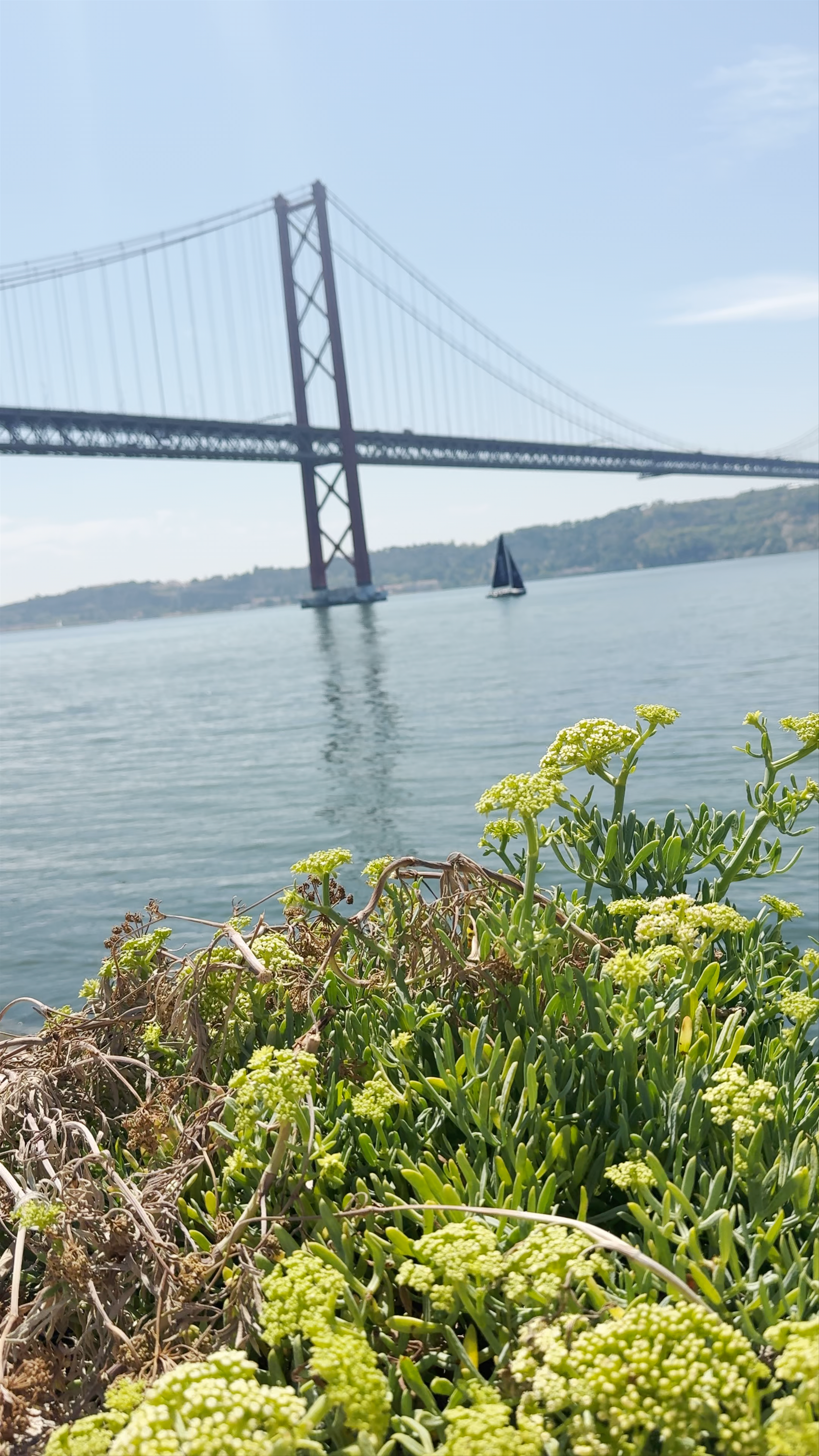 Tejo Promenade