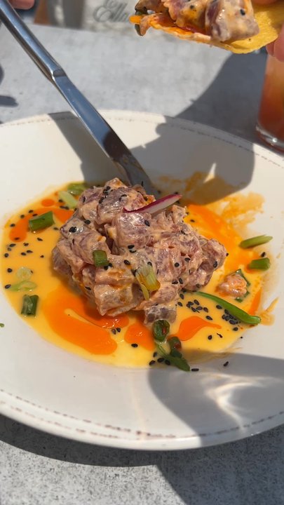 Persimmons Waterfront Restaurant - The most delicious tuna! - New American Near Me - New Bern, North Carolina