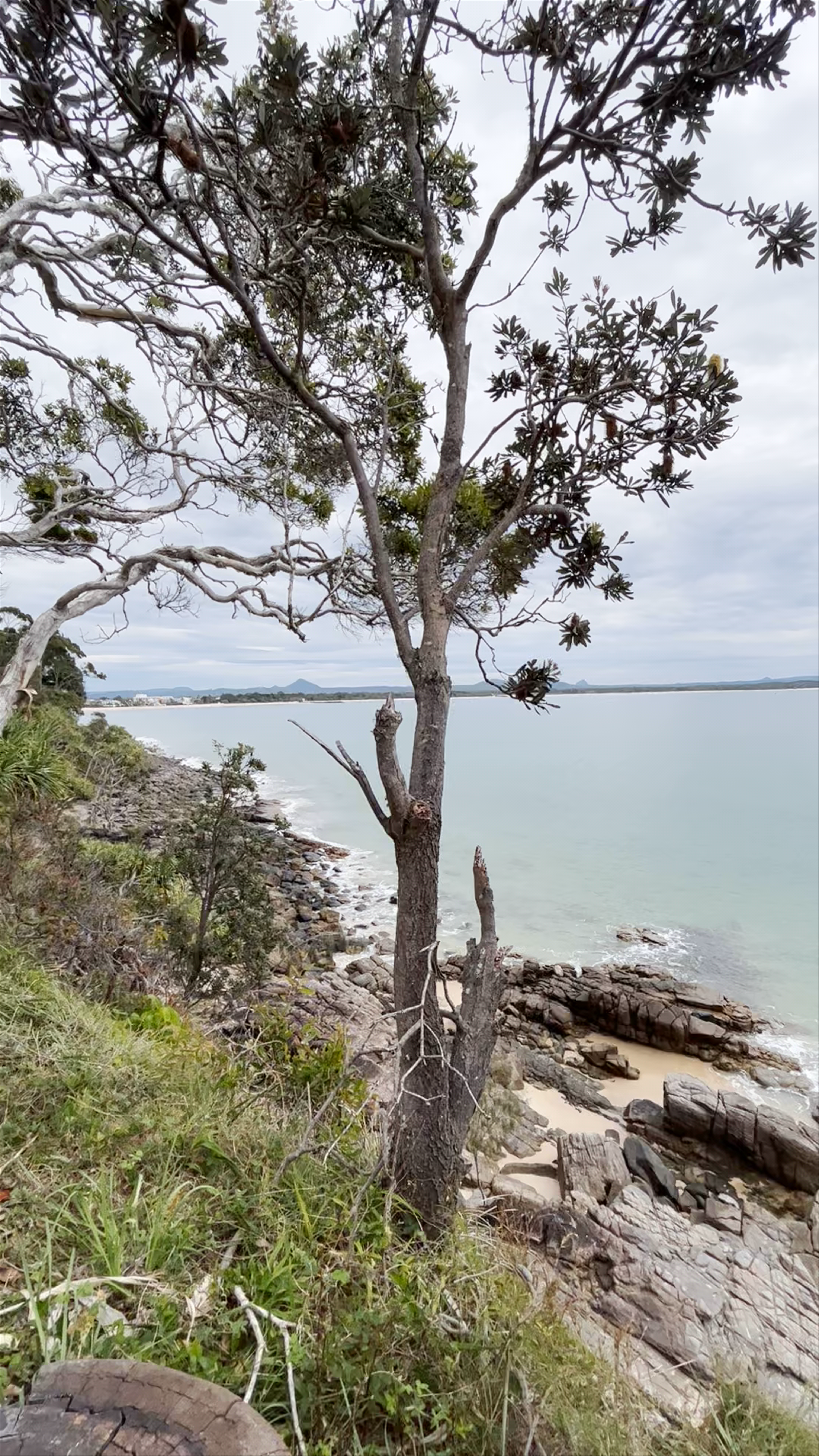 Noosa National Park