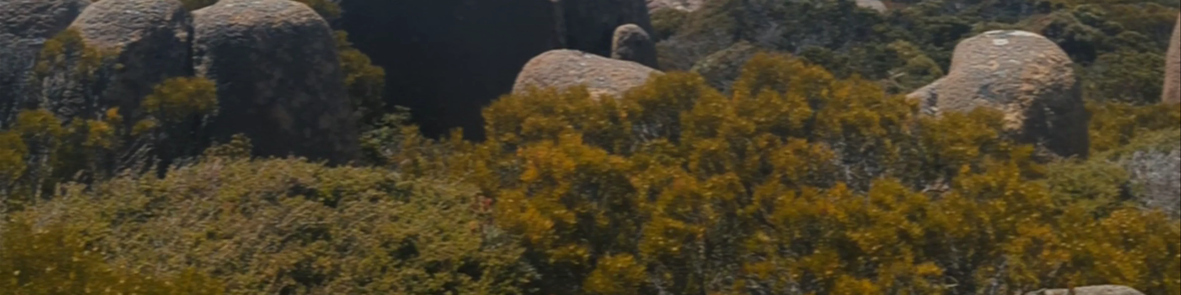 Mount Wellington