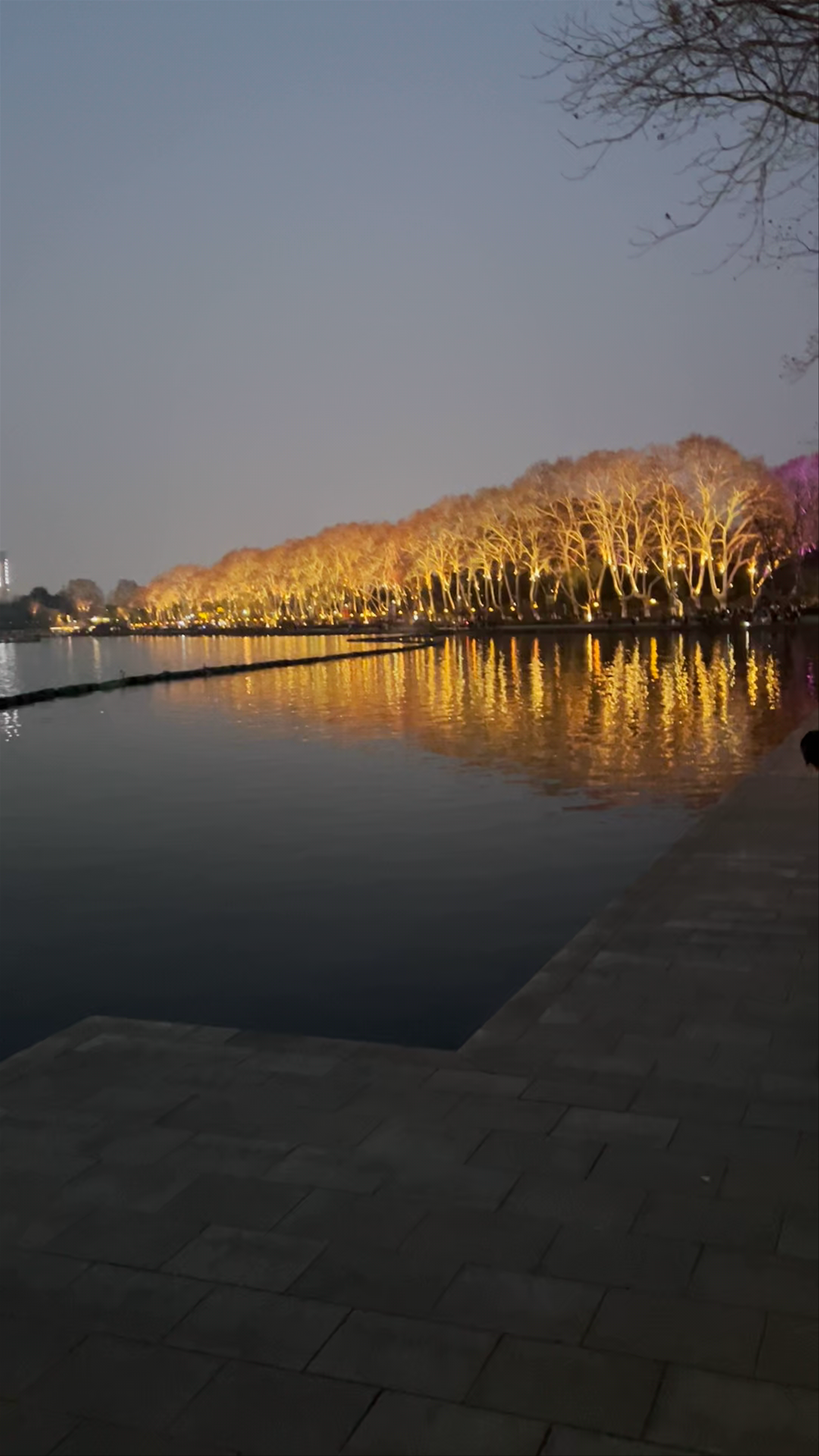 Xuanwu Lake