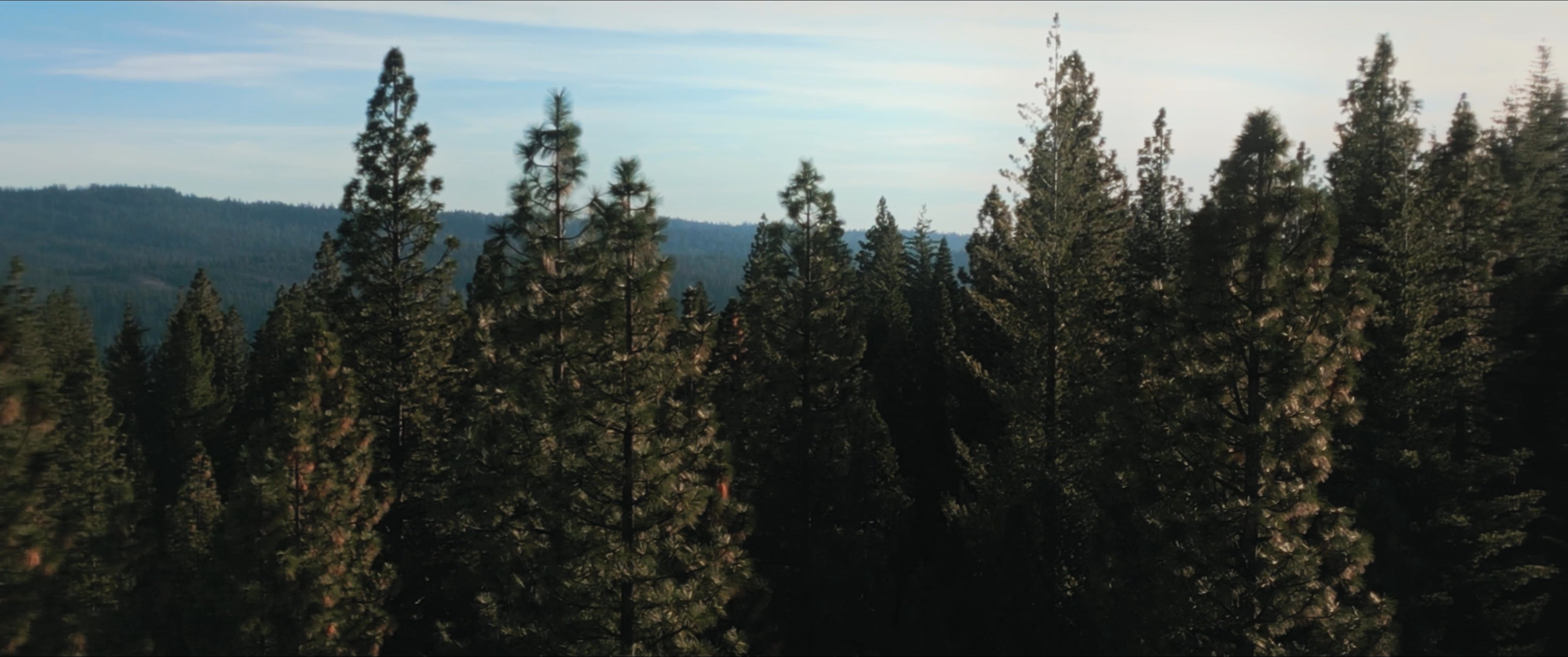 A man pauses for reflection inside a rustic cabin before transitioning to a serene forest landscape where two people converse near a vehicle.