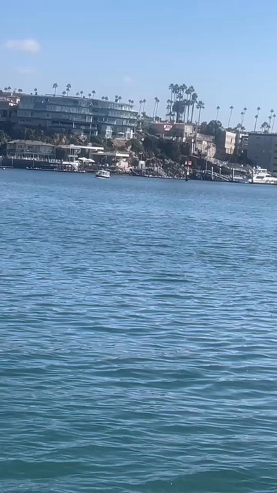 Lighthouse Cafe - Breakfast & Brunch Near Me - San Pedro, California