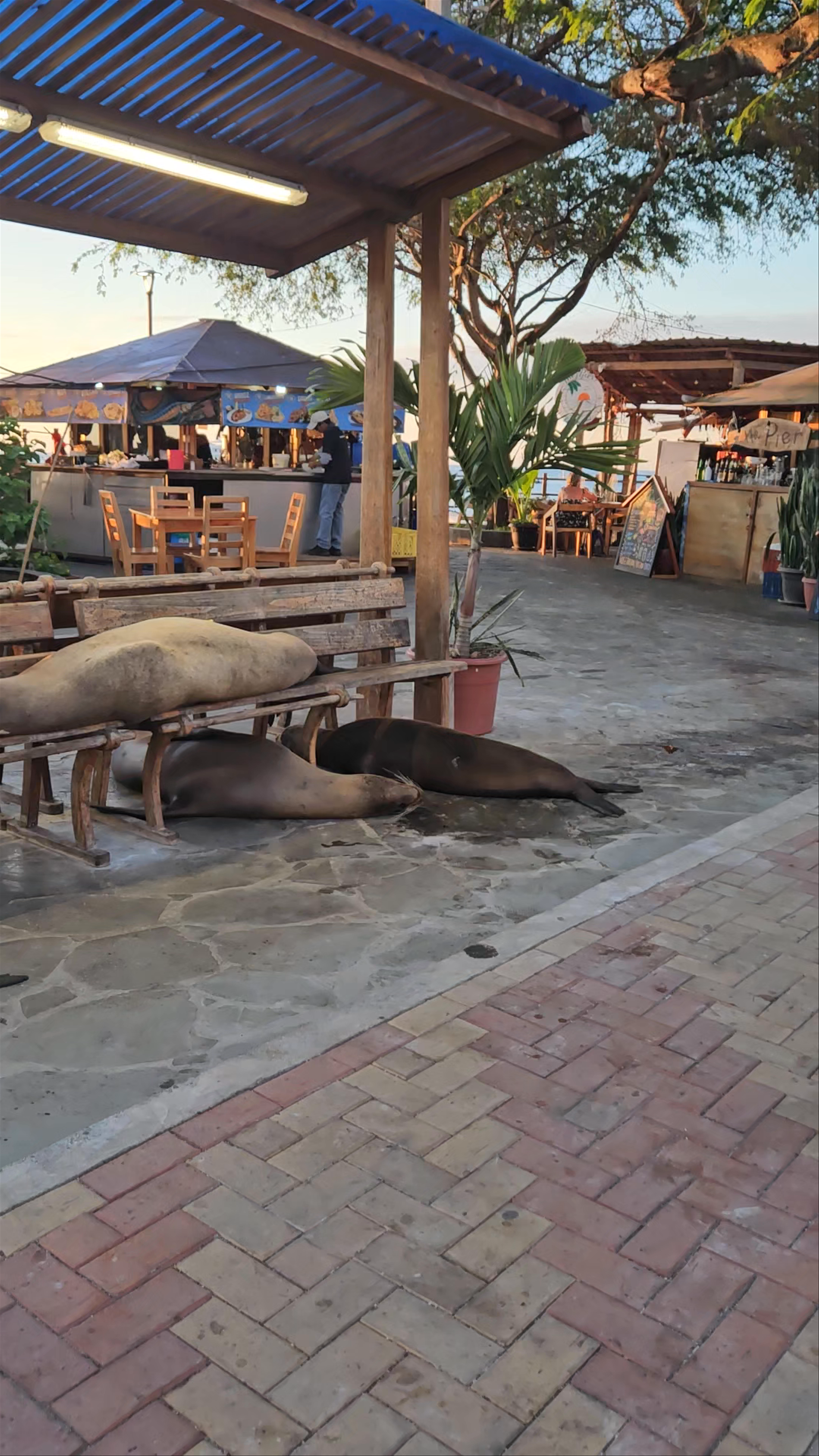 Malecón San Cristobal