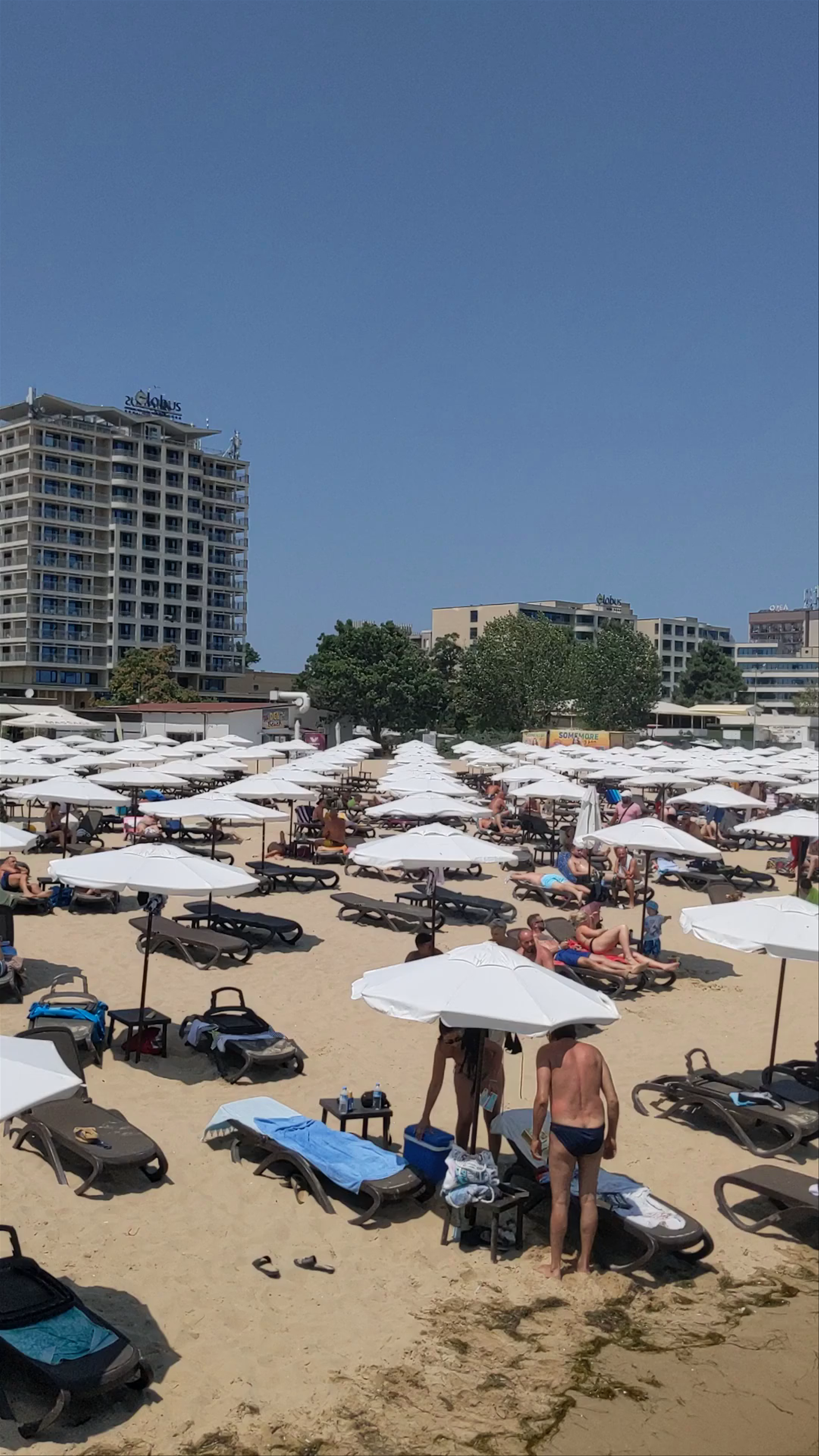 Sunny Beach Plaza، Sunny Beach