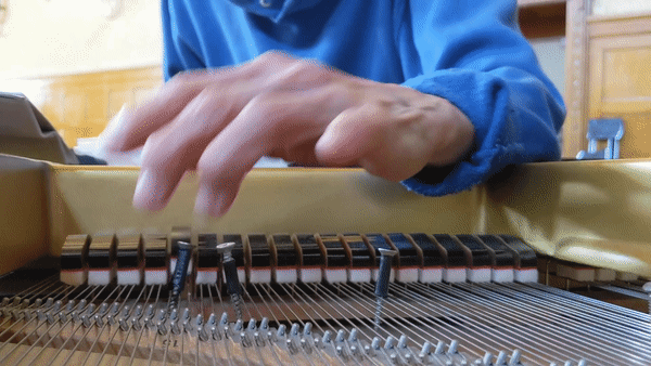 The Making of Dragon Ladies Don't Weep: a Short Documentary