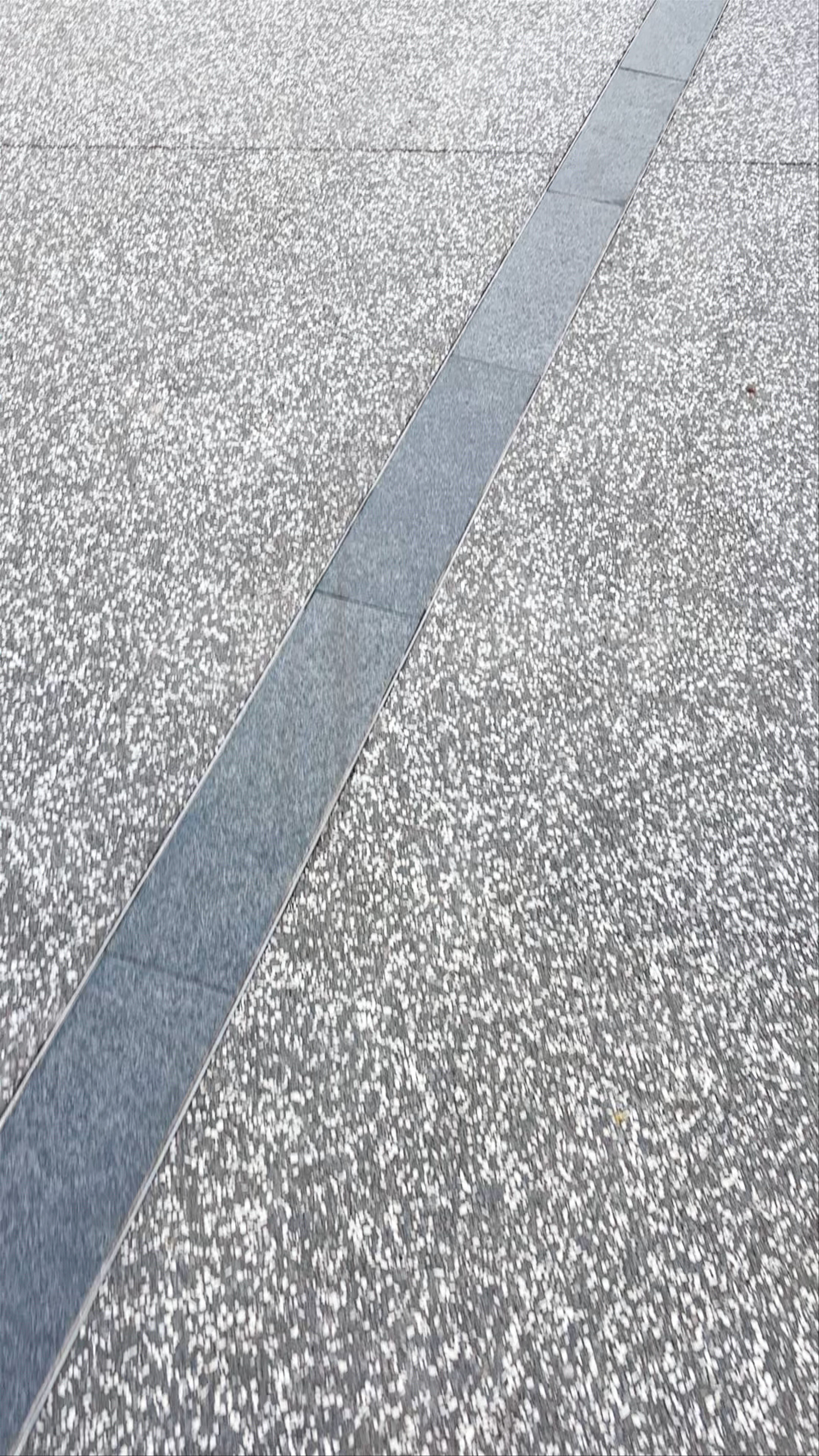 Bayfront Avenue