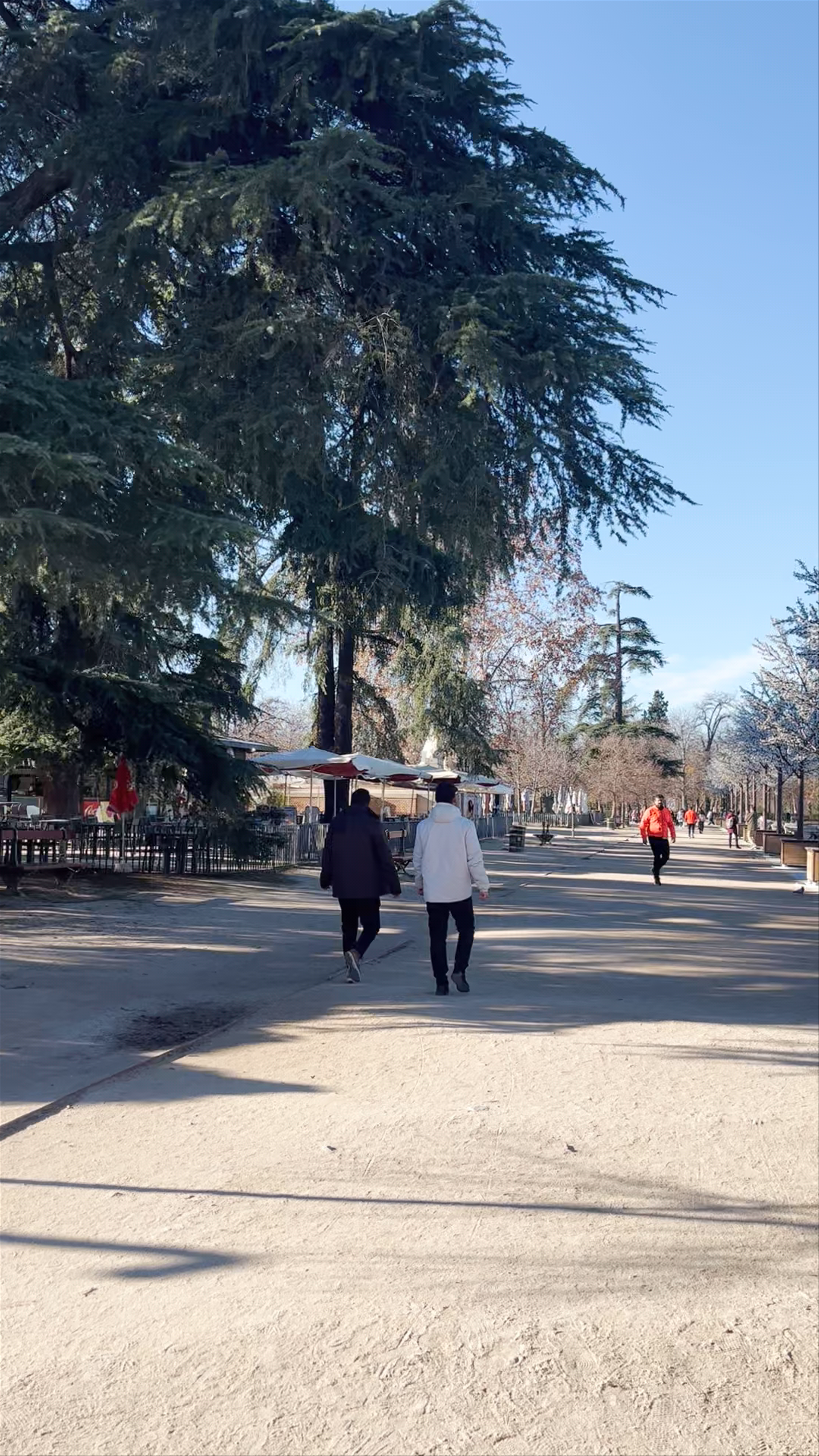 Estanque Grande de El Retiro