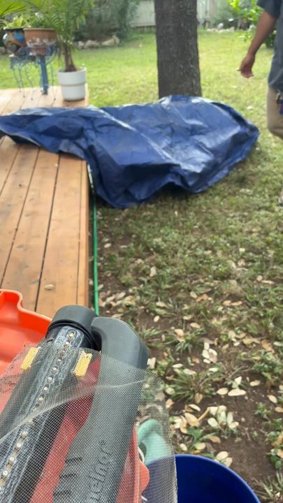 Apple Pest Control - Pest Control Near Me - Helotes, Texas