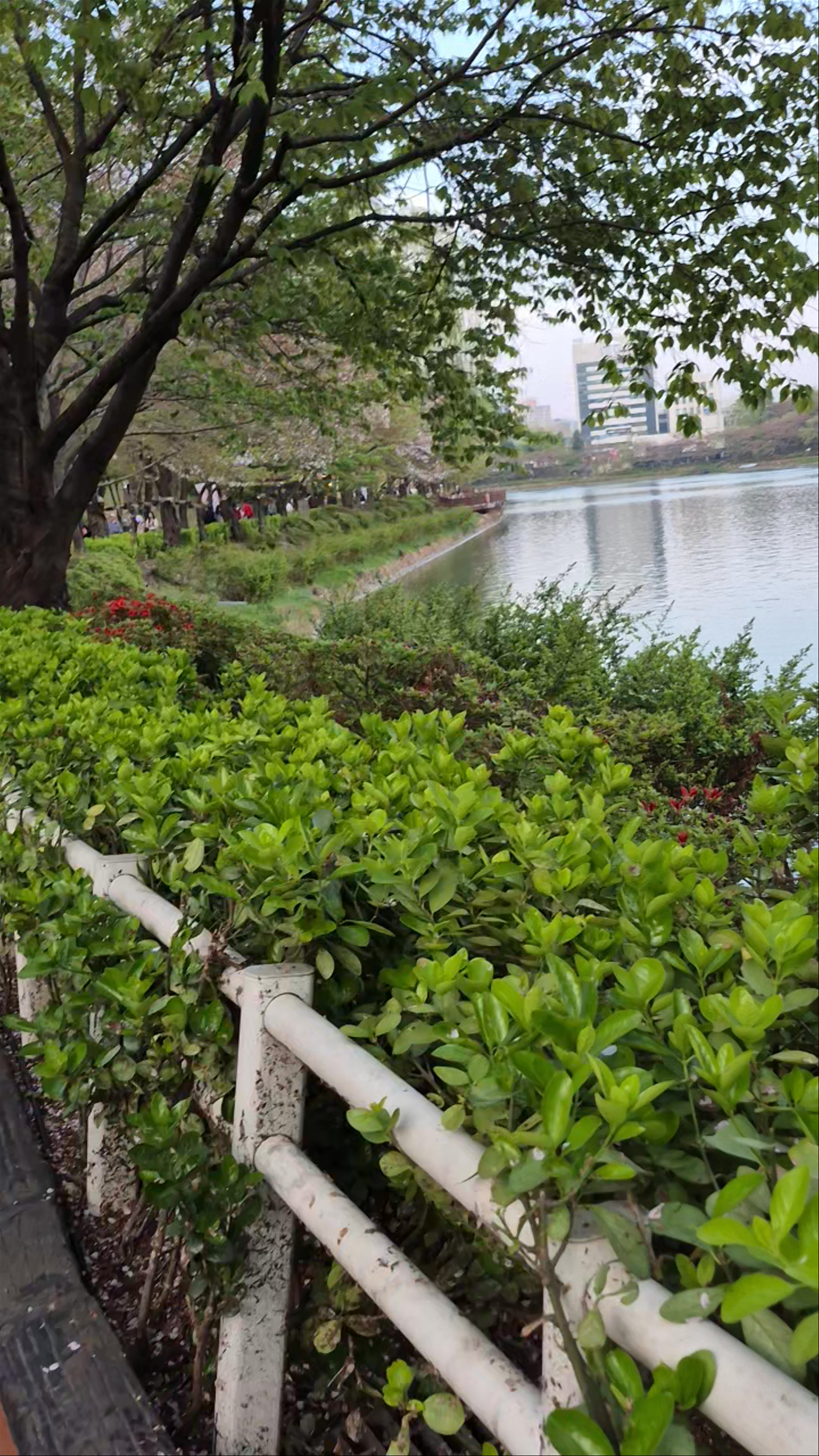 Seokchon Lake Park