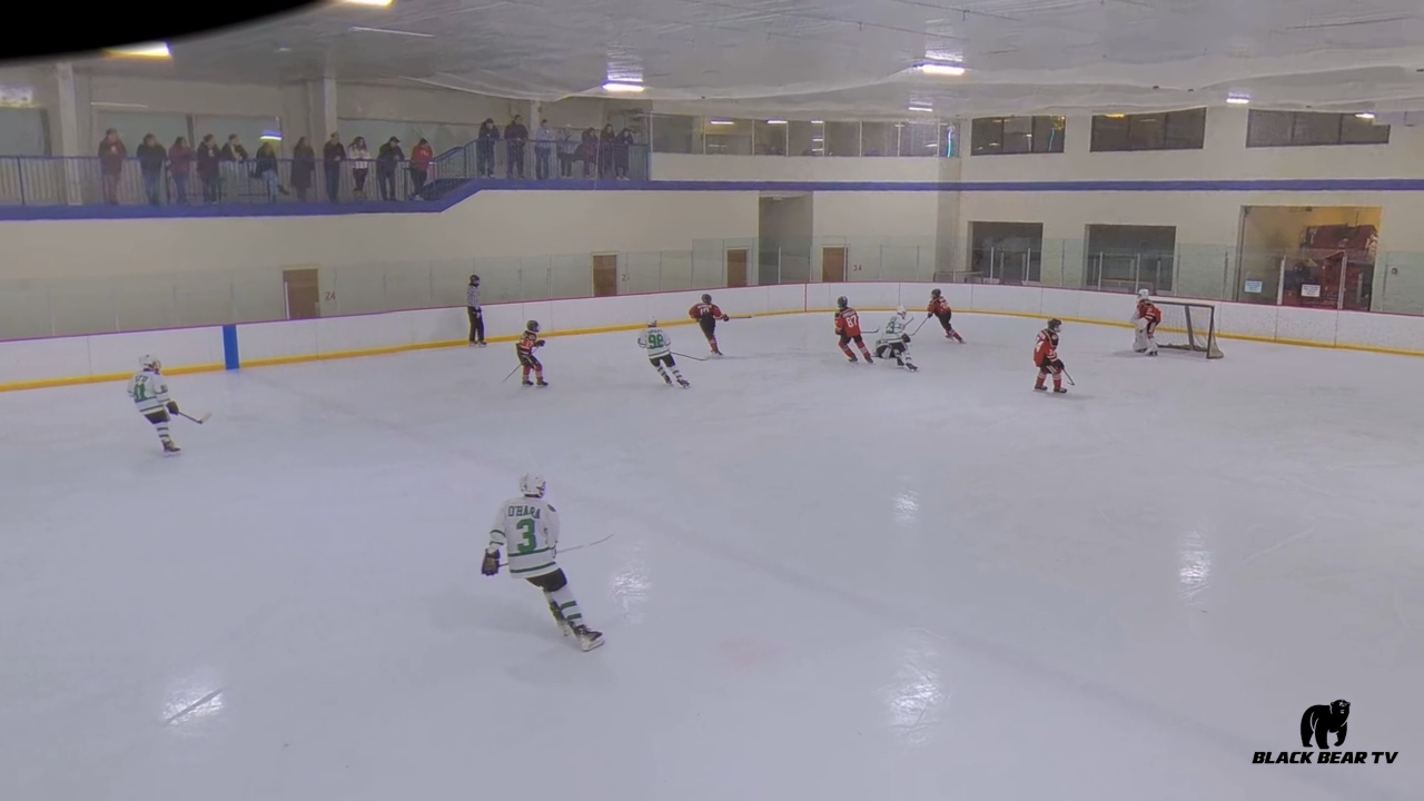 Declan Faughnan's Incredible Close-Range Save | Mercer Chiefs 13U AAA