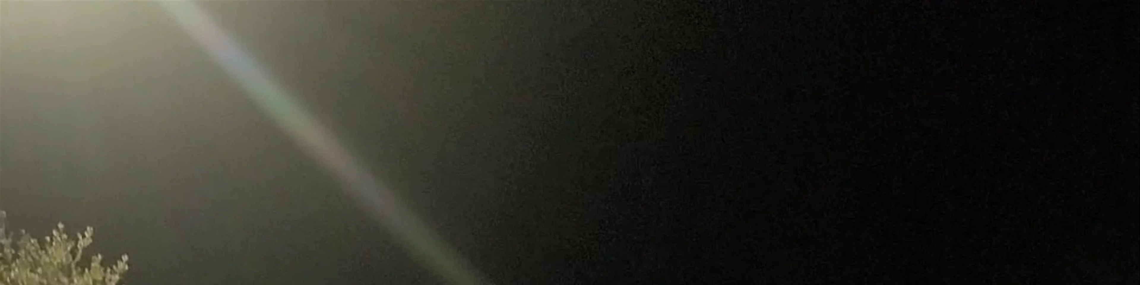 Fondazione La Notte della Taranta