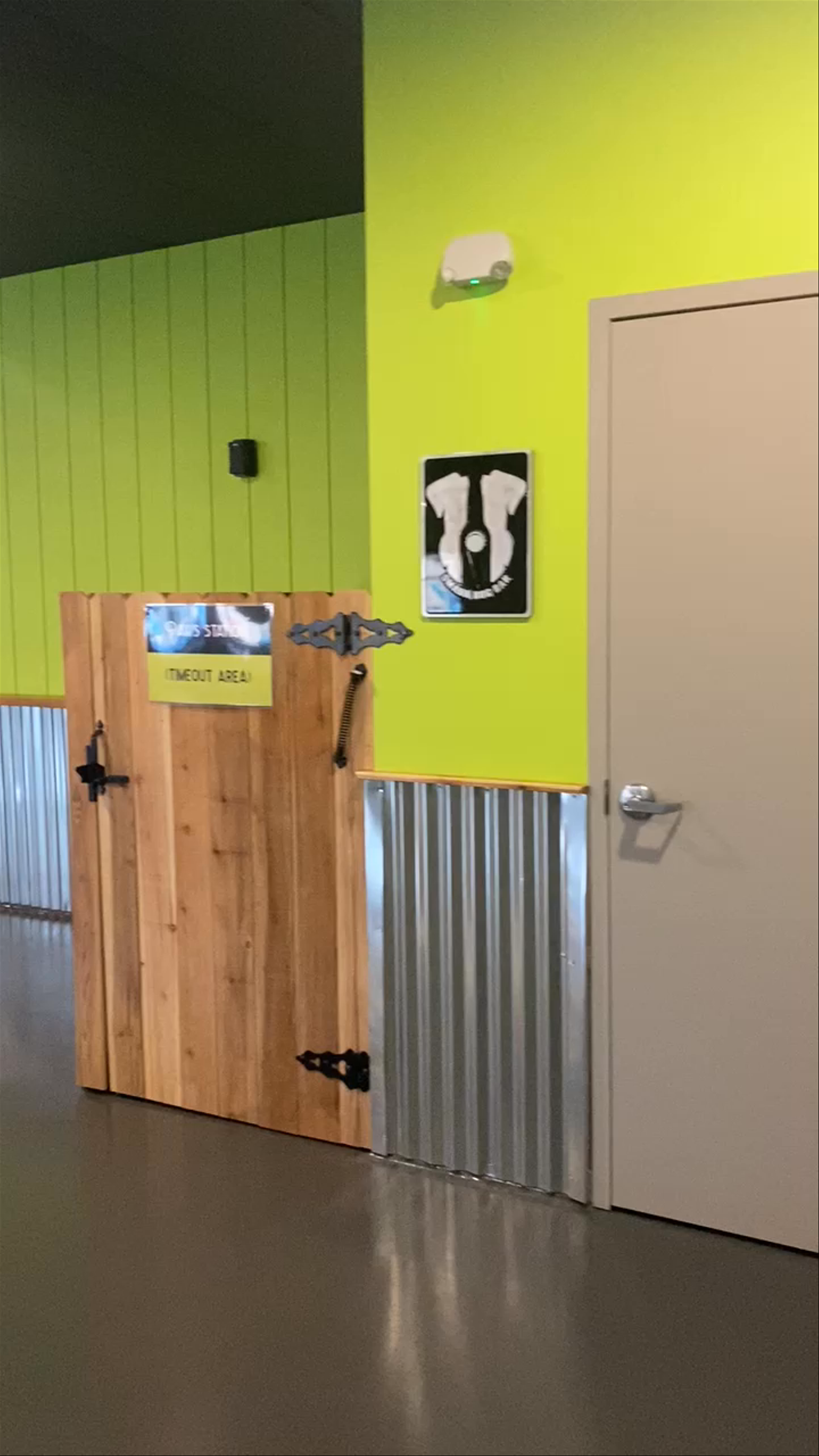 Inside Omaha Dog Bar: A Unique Dog-Friendly Social Spot