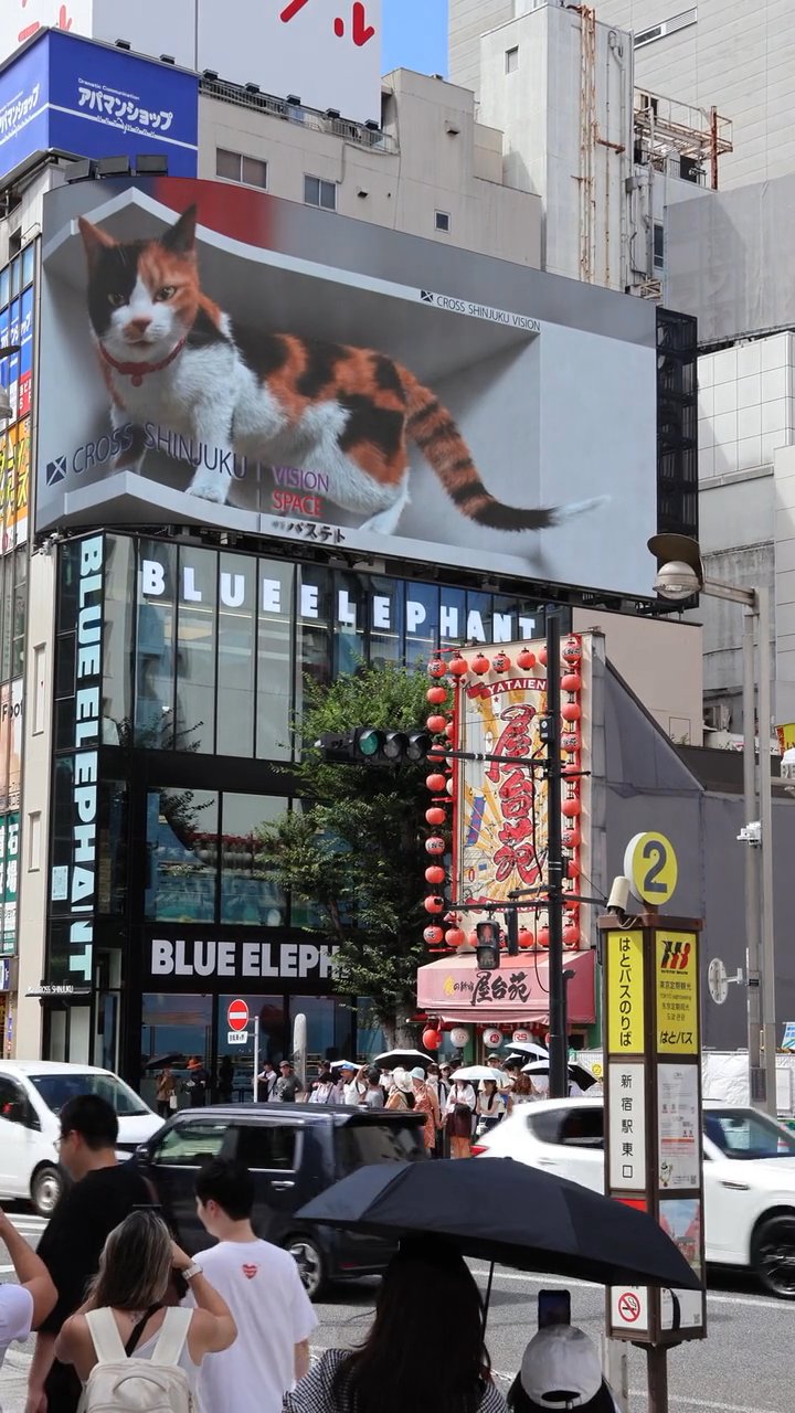 日本はやっぱり美しい🗾
🎥 Muhammed Fatih  KARAKUŞ · Pexels
#日本 #旅行 #絶景 #風景 #japan