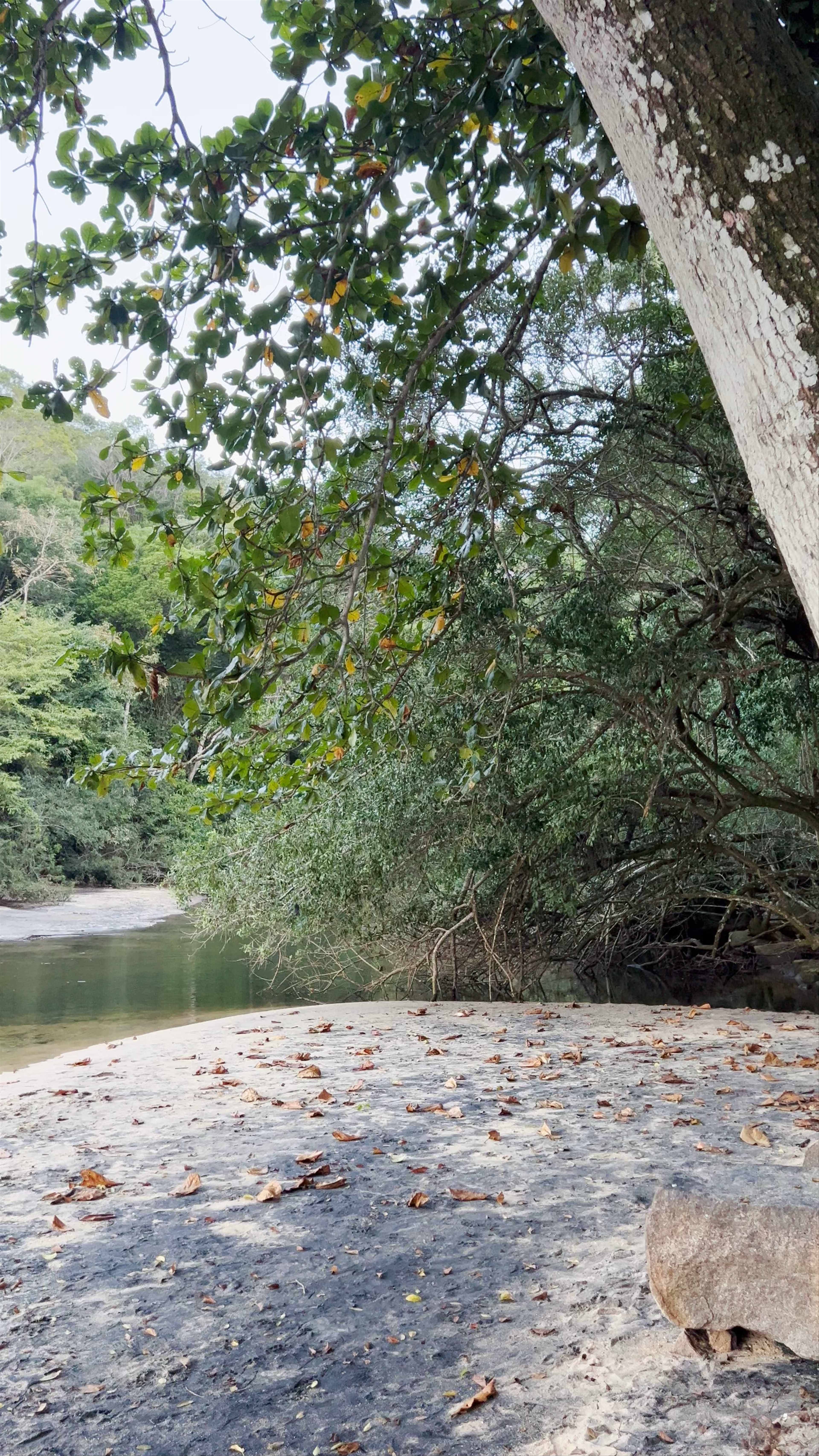 Praia Preta - Abraão