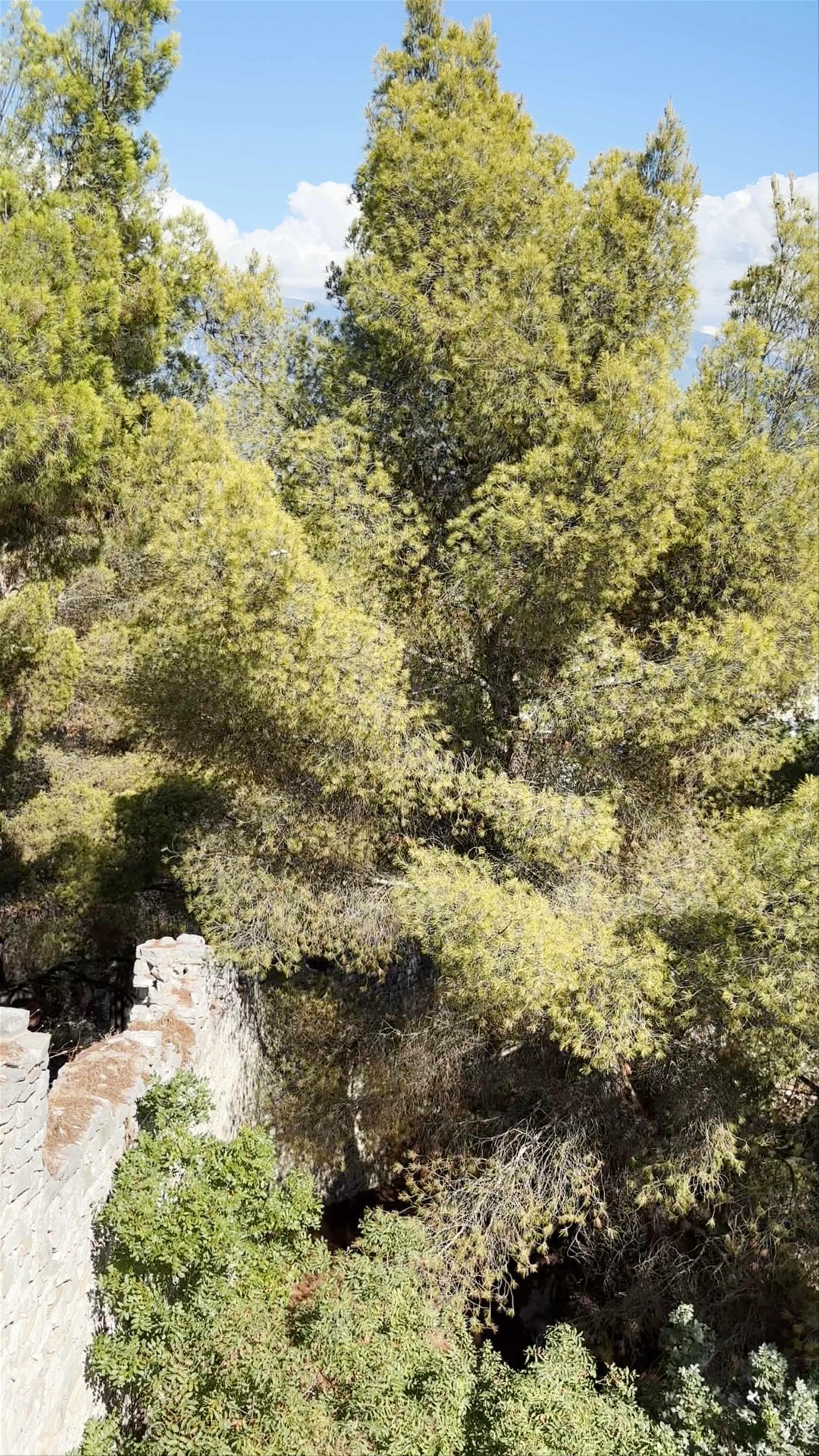 Berat Viewing Platform