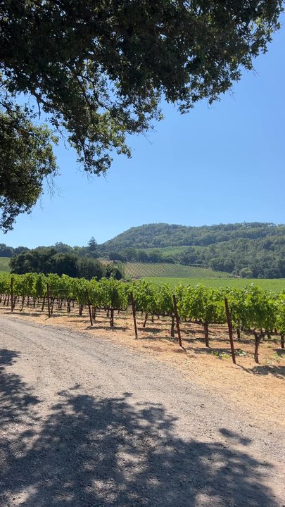 Chappellet - Wineries Near Me - Saint Helena, California
