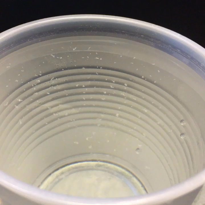 MOD Pizza - Dirty unclean scary water - Pizza Near Me - Houston, Texas