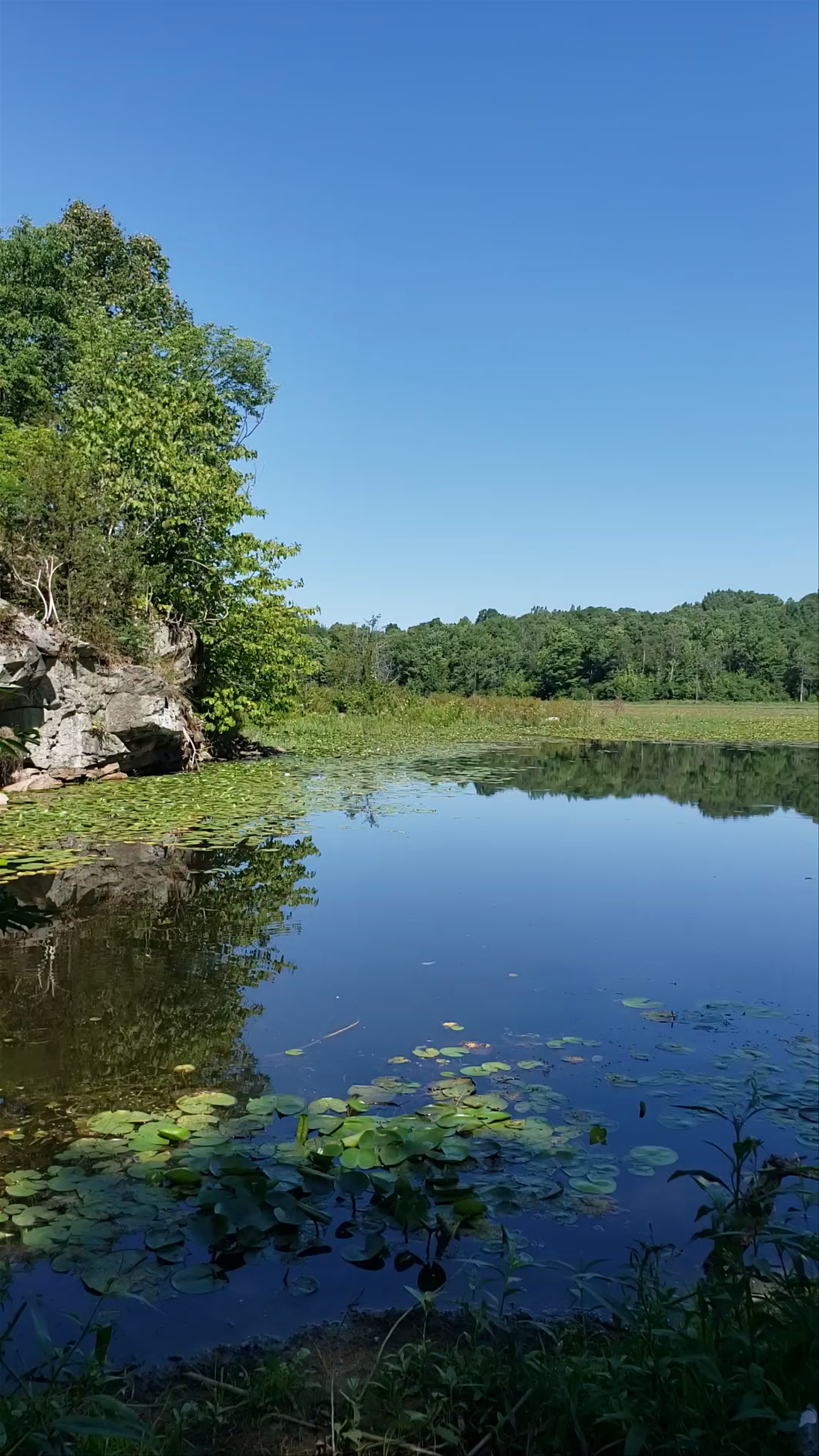 Marble Rock Conservation Area