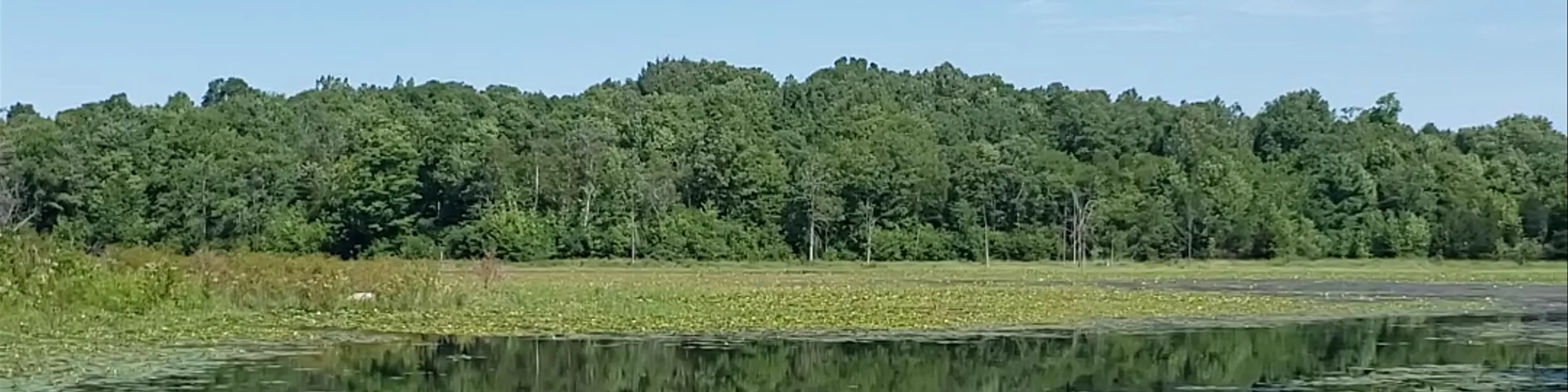 Marble Rock Conservation Area