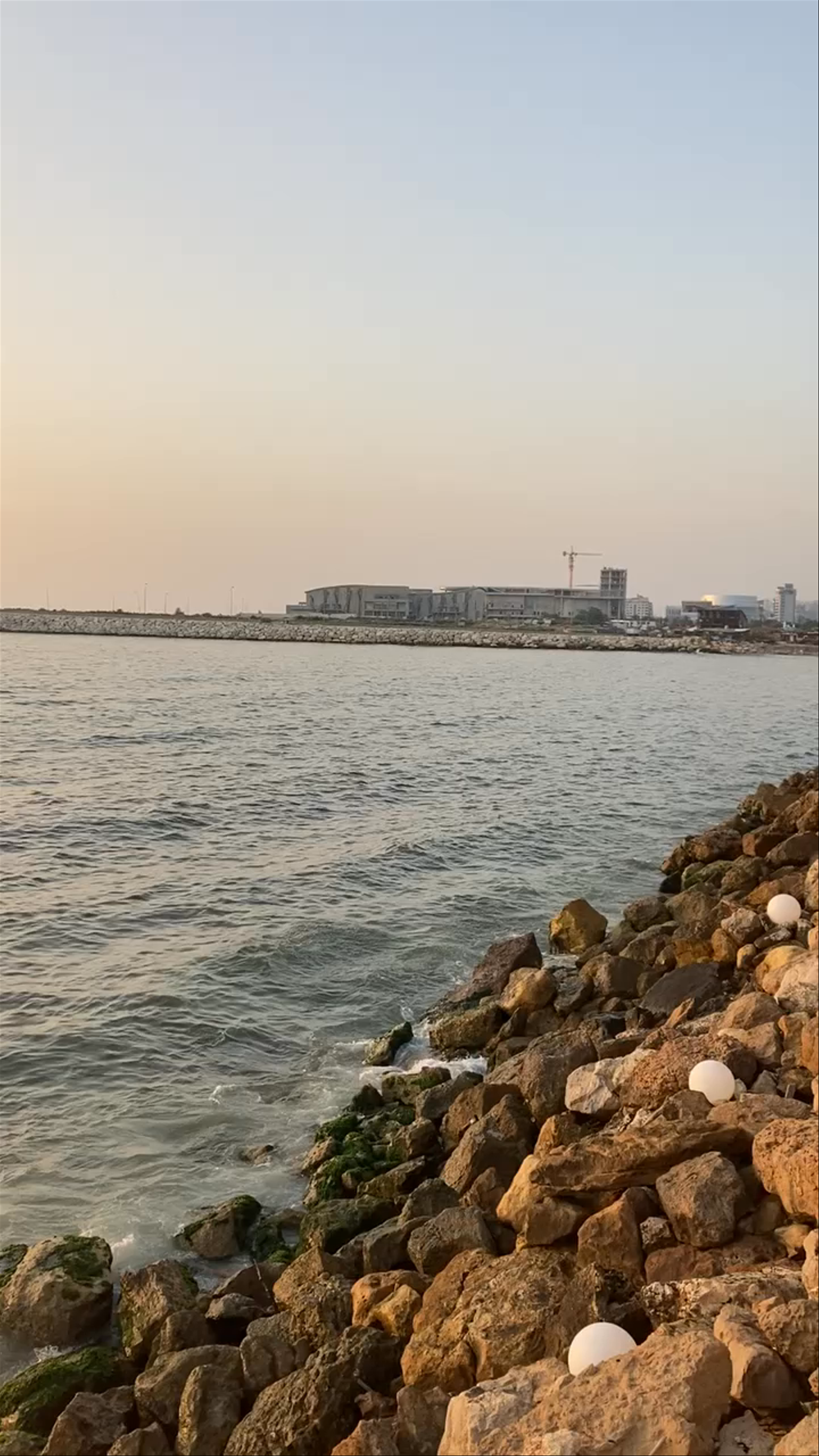 Amarilla Restaurant Club