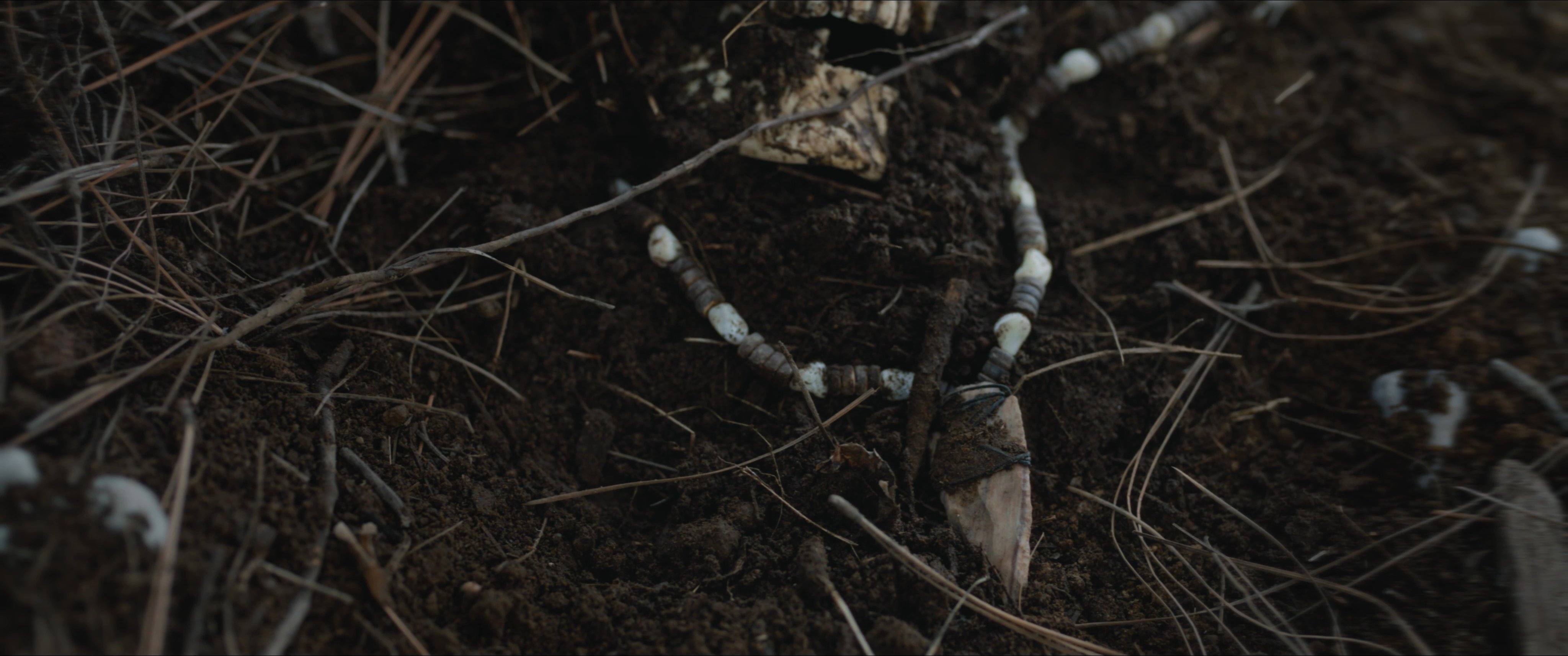 Two individuals encounter human remains partially buried in a woodland clearing. They examine the site with visible concern, initiating a grim investigation in the forest.