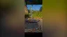 Small image 6